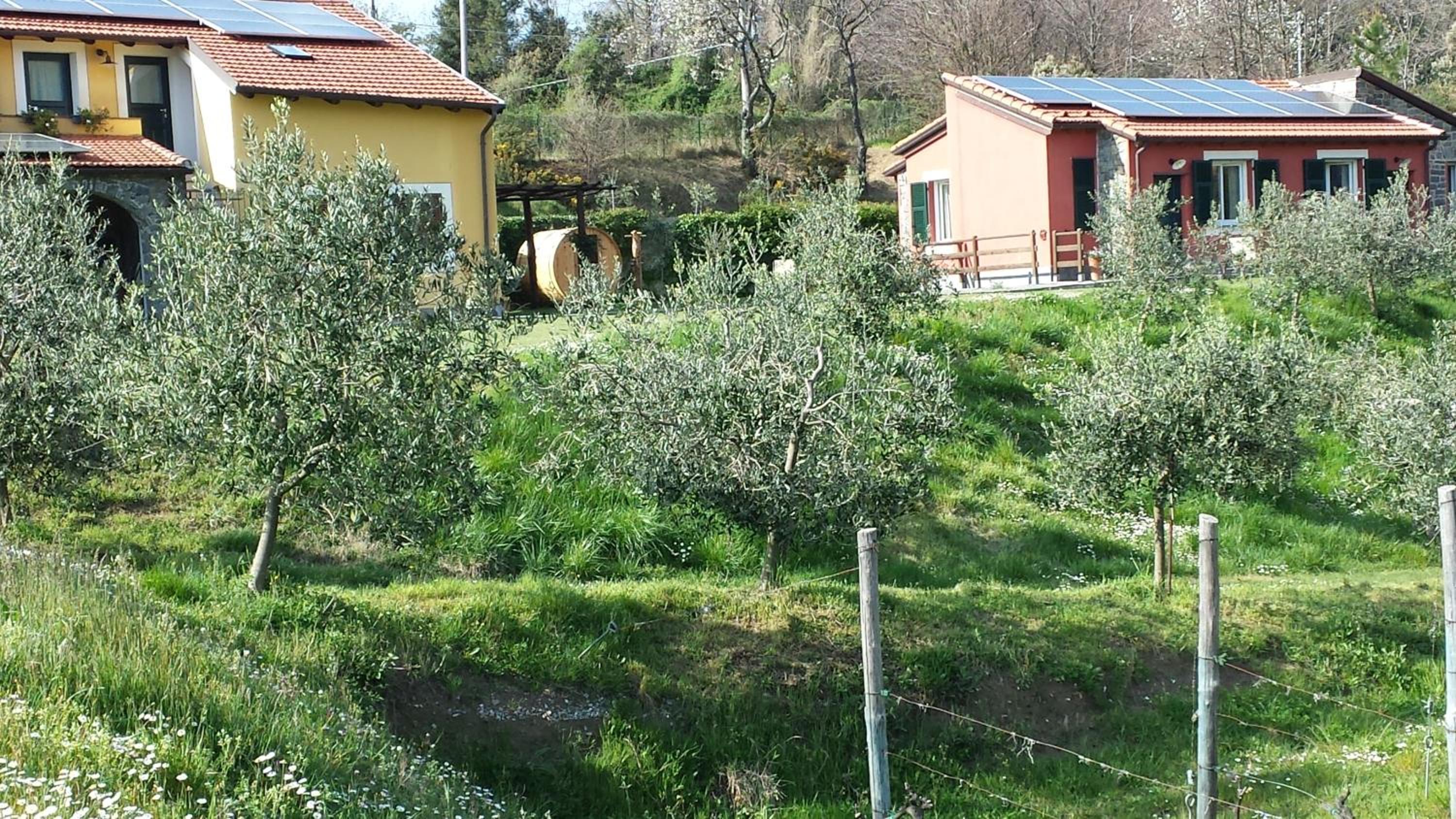 Photo 43