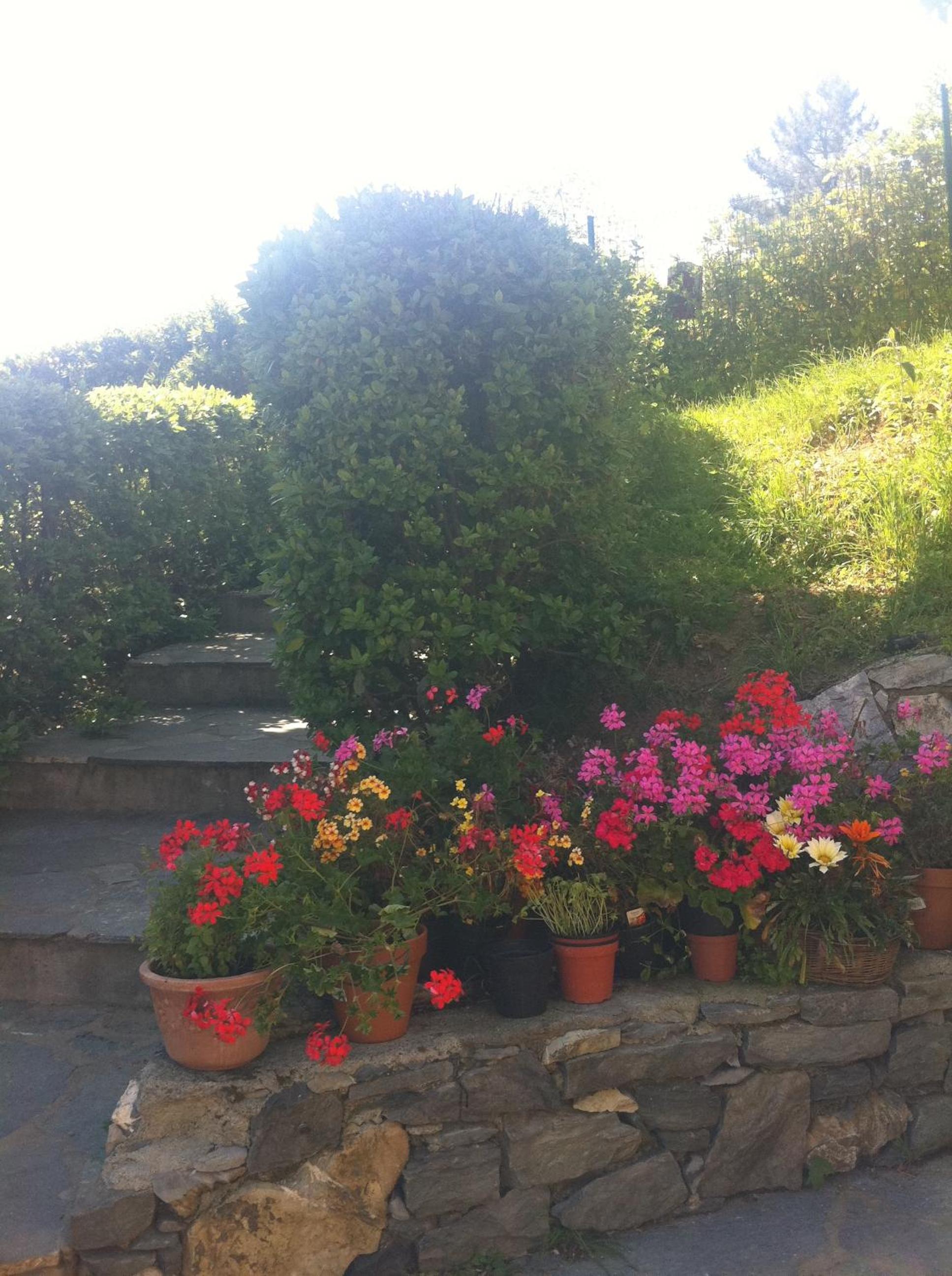 Photo 51