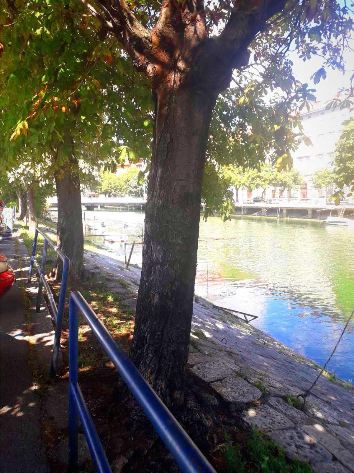 Apartman Luna Rijeka