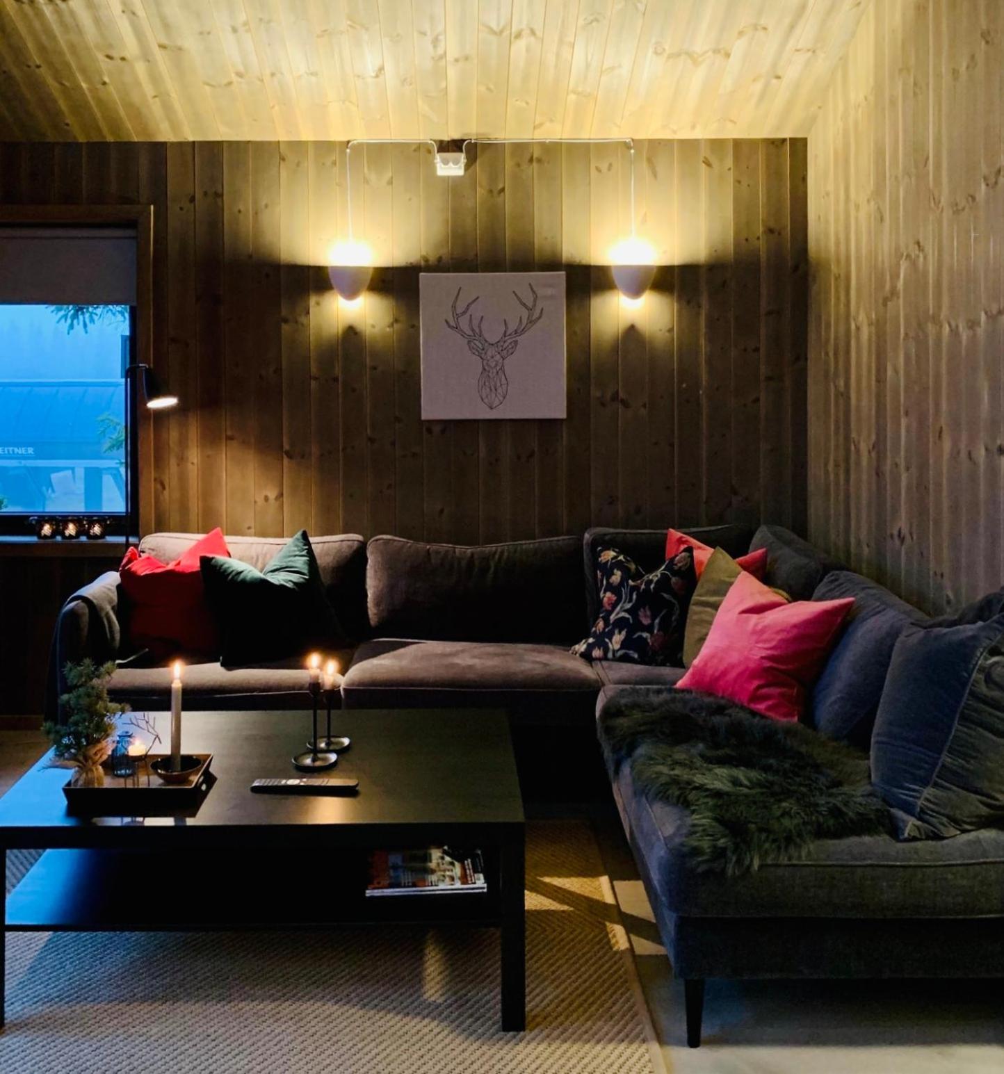 Cozy Apartment electric car charger & ski in out Sjusjøen view 2