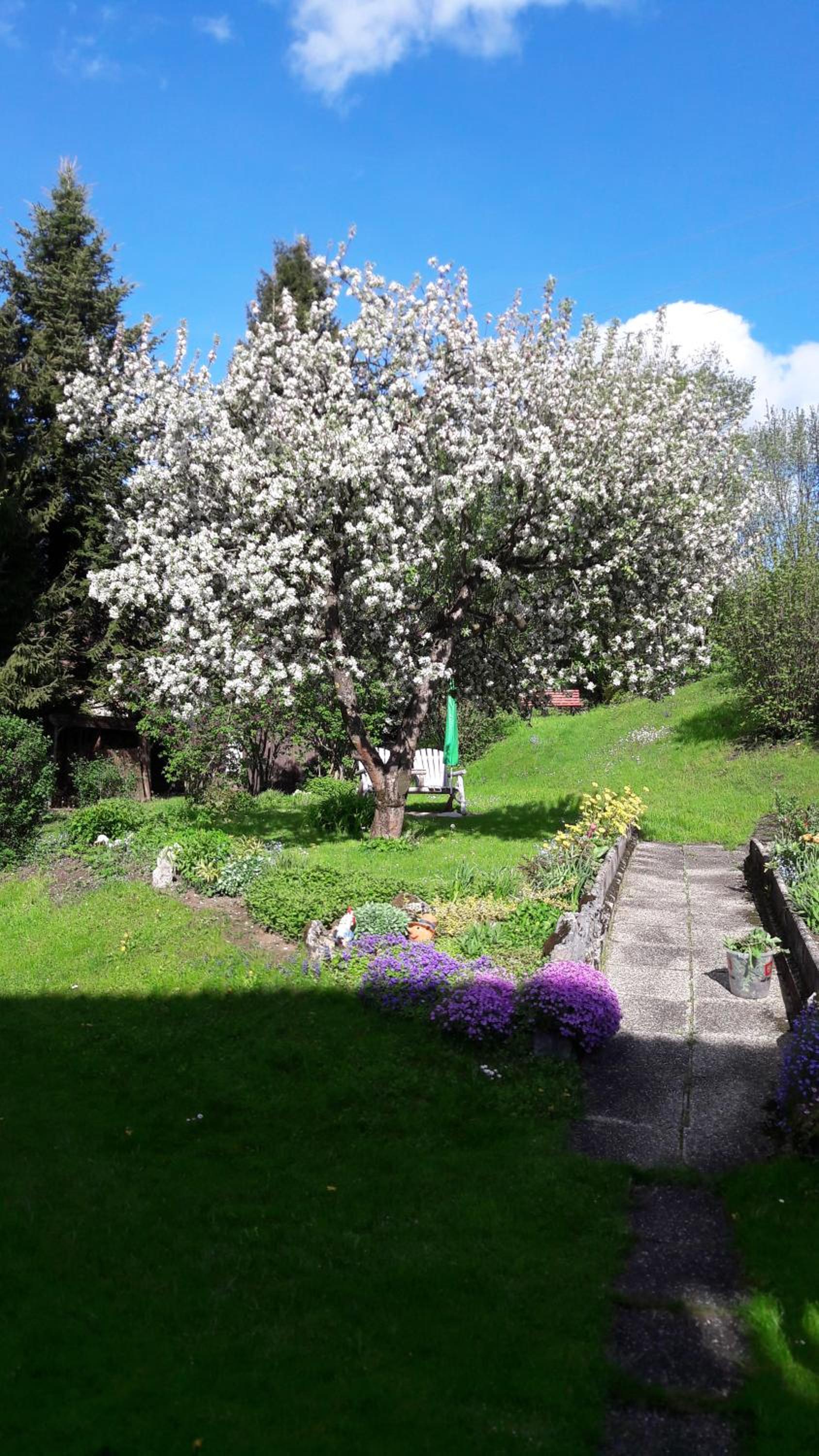 Appartementhaus Theresia