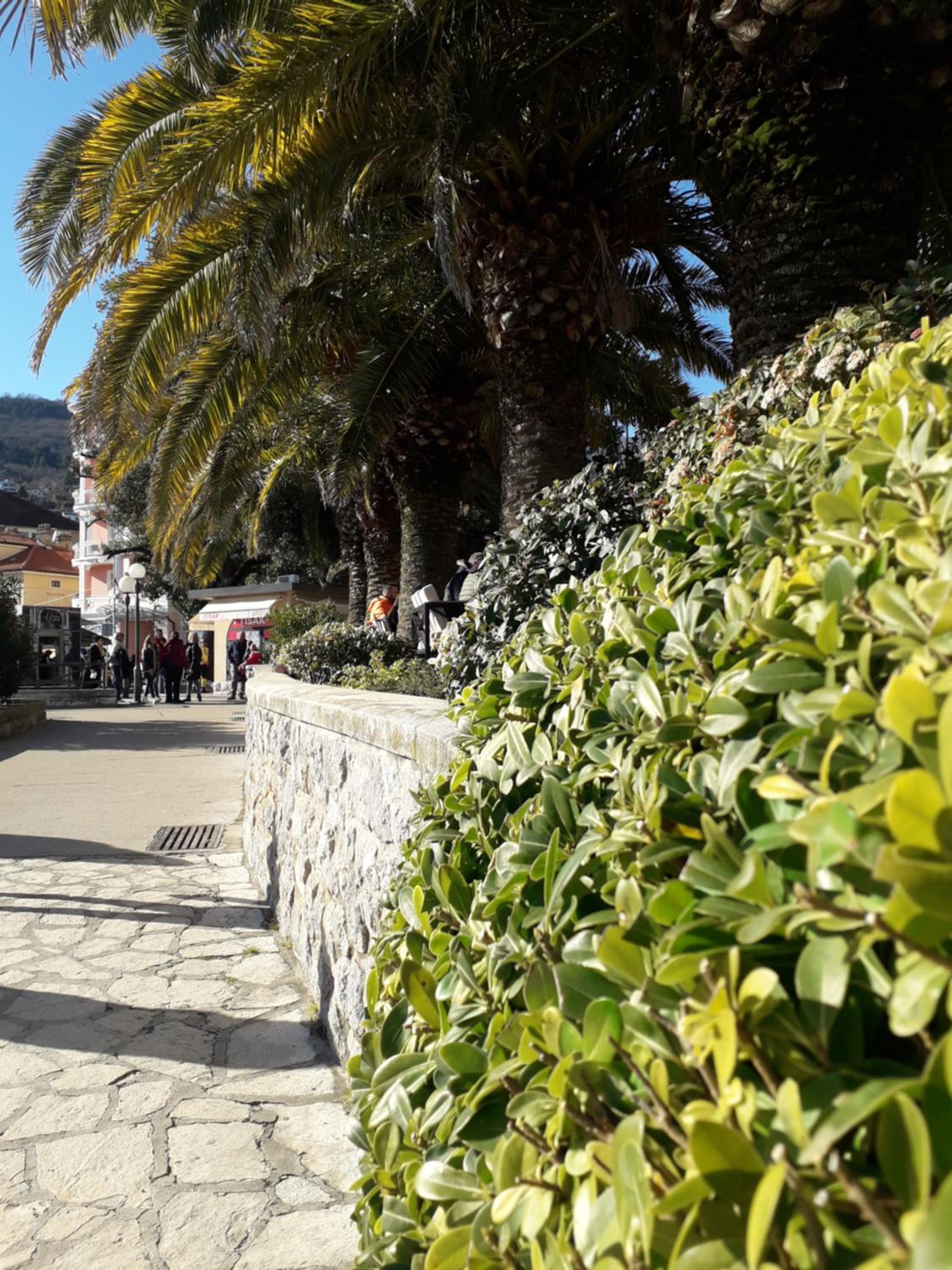Apartman Luna Rijeka