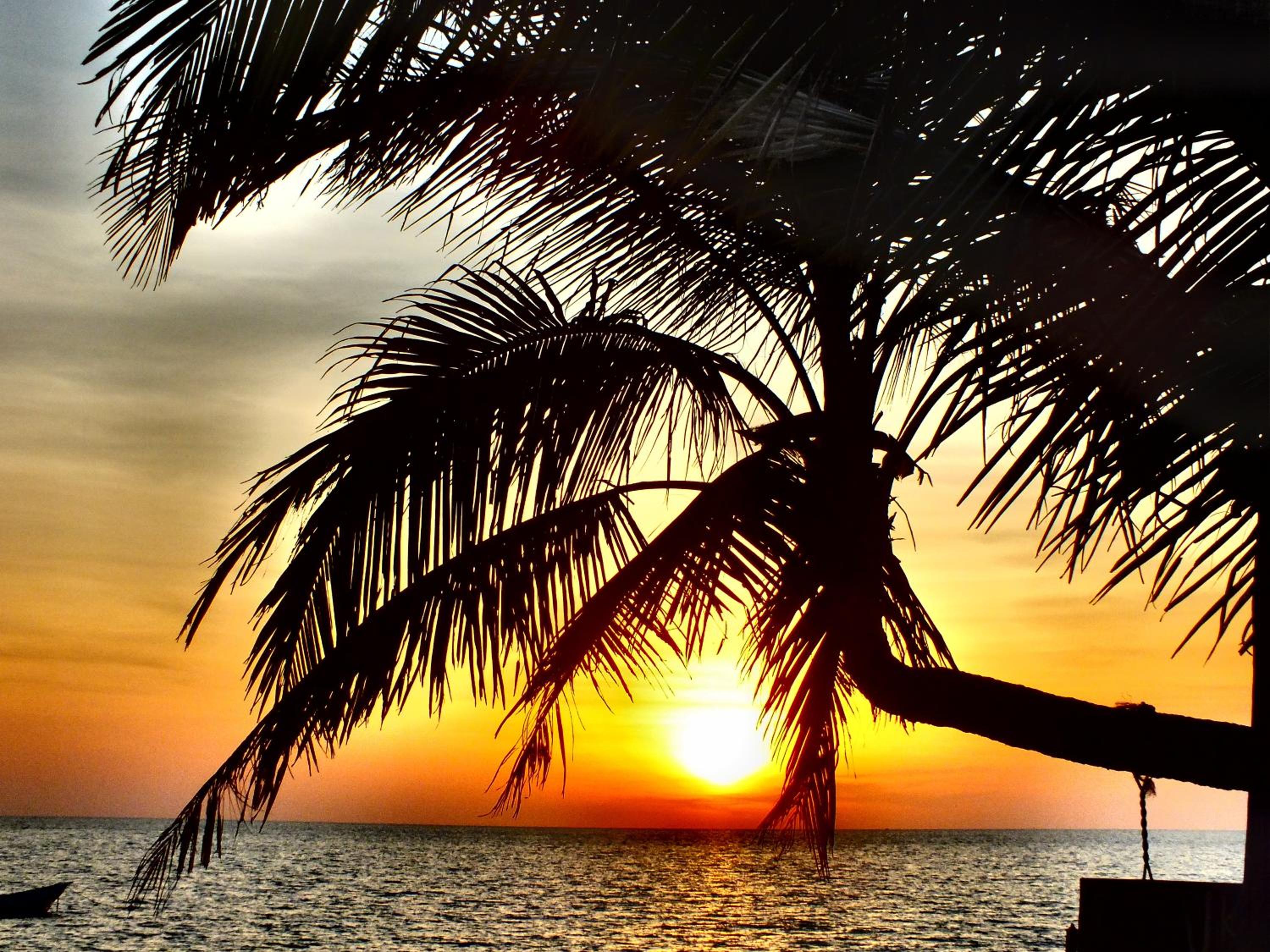 C&N Kho Khao Beach Resort - SHA Plus