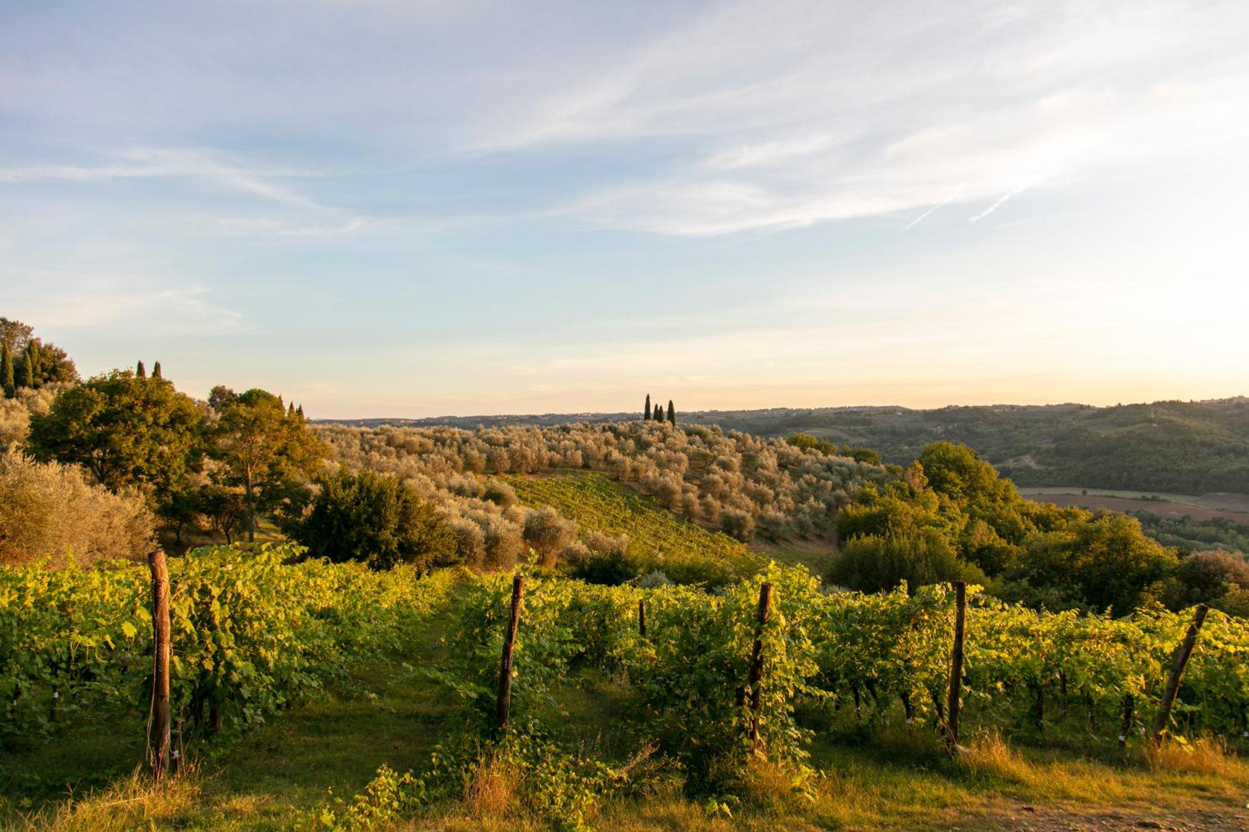 Il Borghetto Country Inn