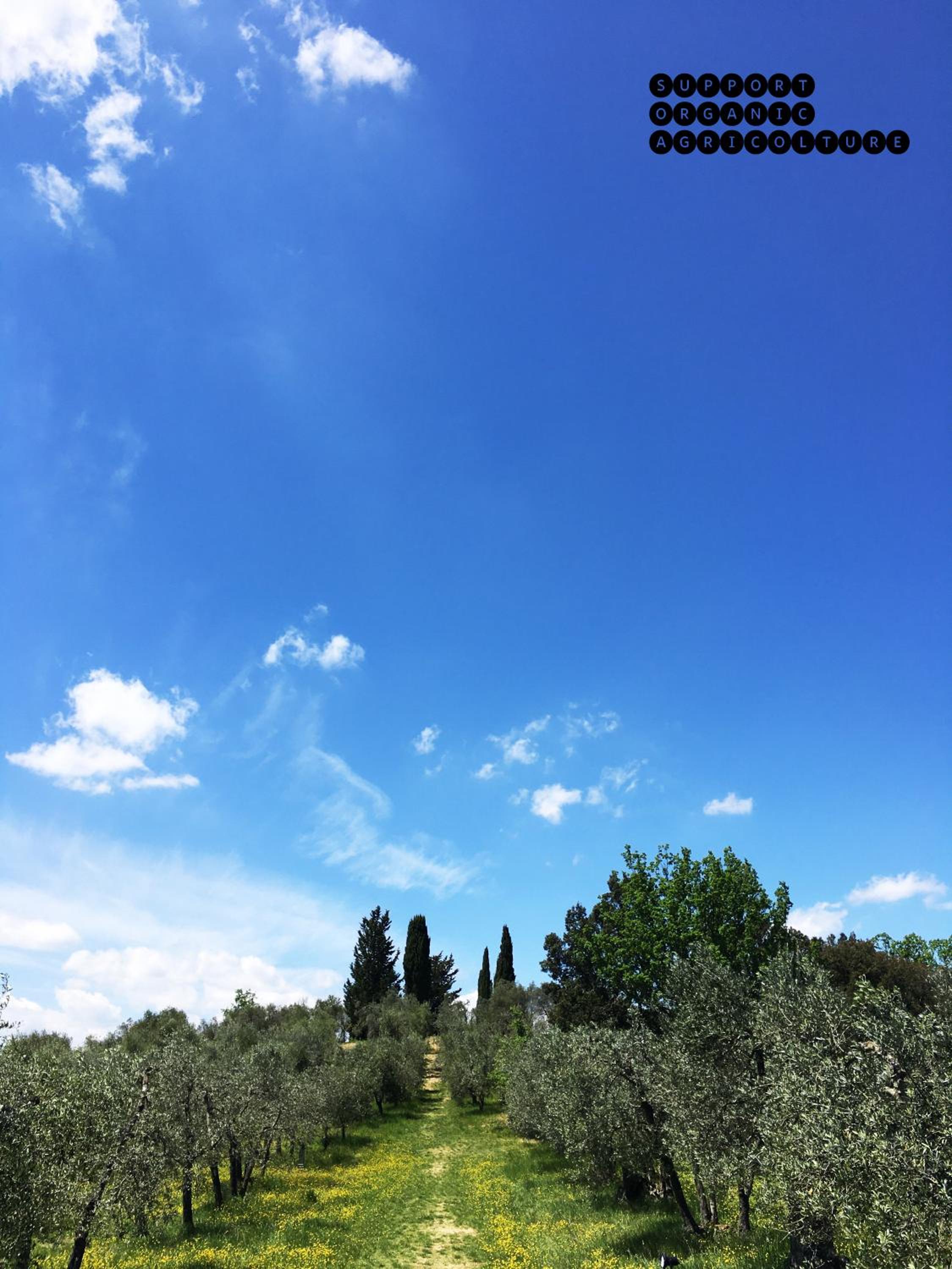 Il Borghetto Country Inn