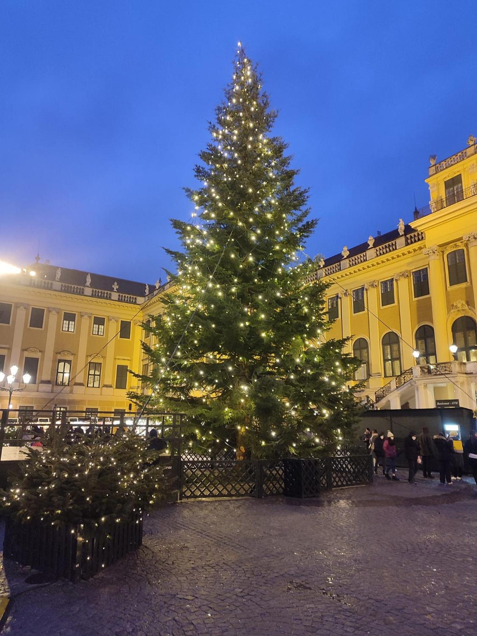 Central Mariahilfer Apartment 4 min to the city shopping center and Schönbrunn Palace