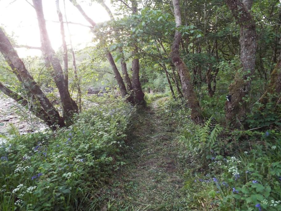 Photo 44