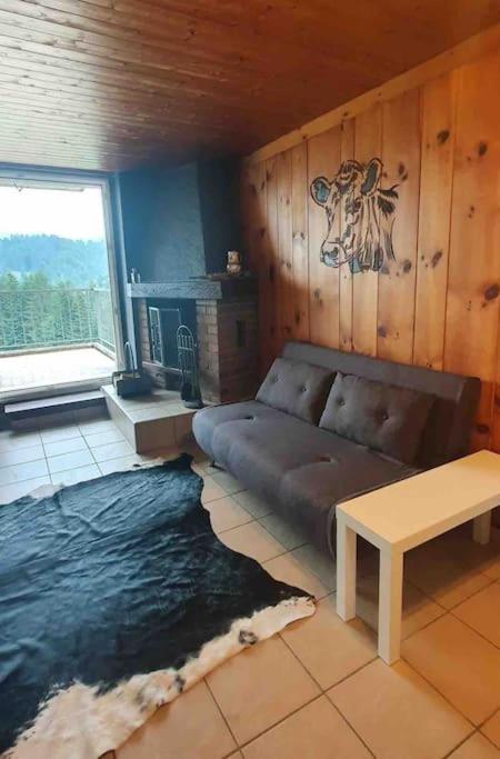 Superbe appartement 3.5 avec cheminée