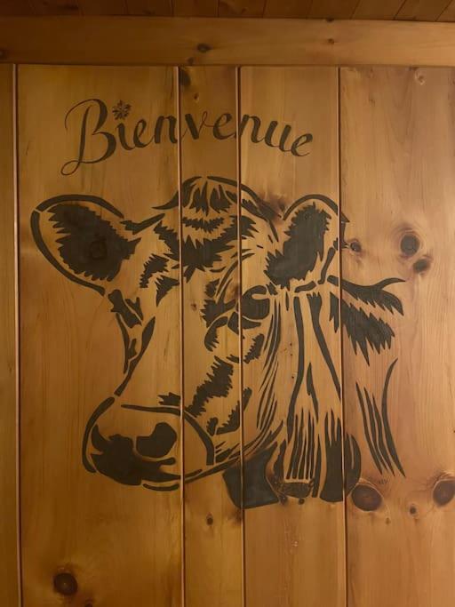 Superbe appartement 3.5 avec cheminée