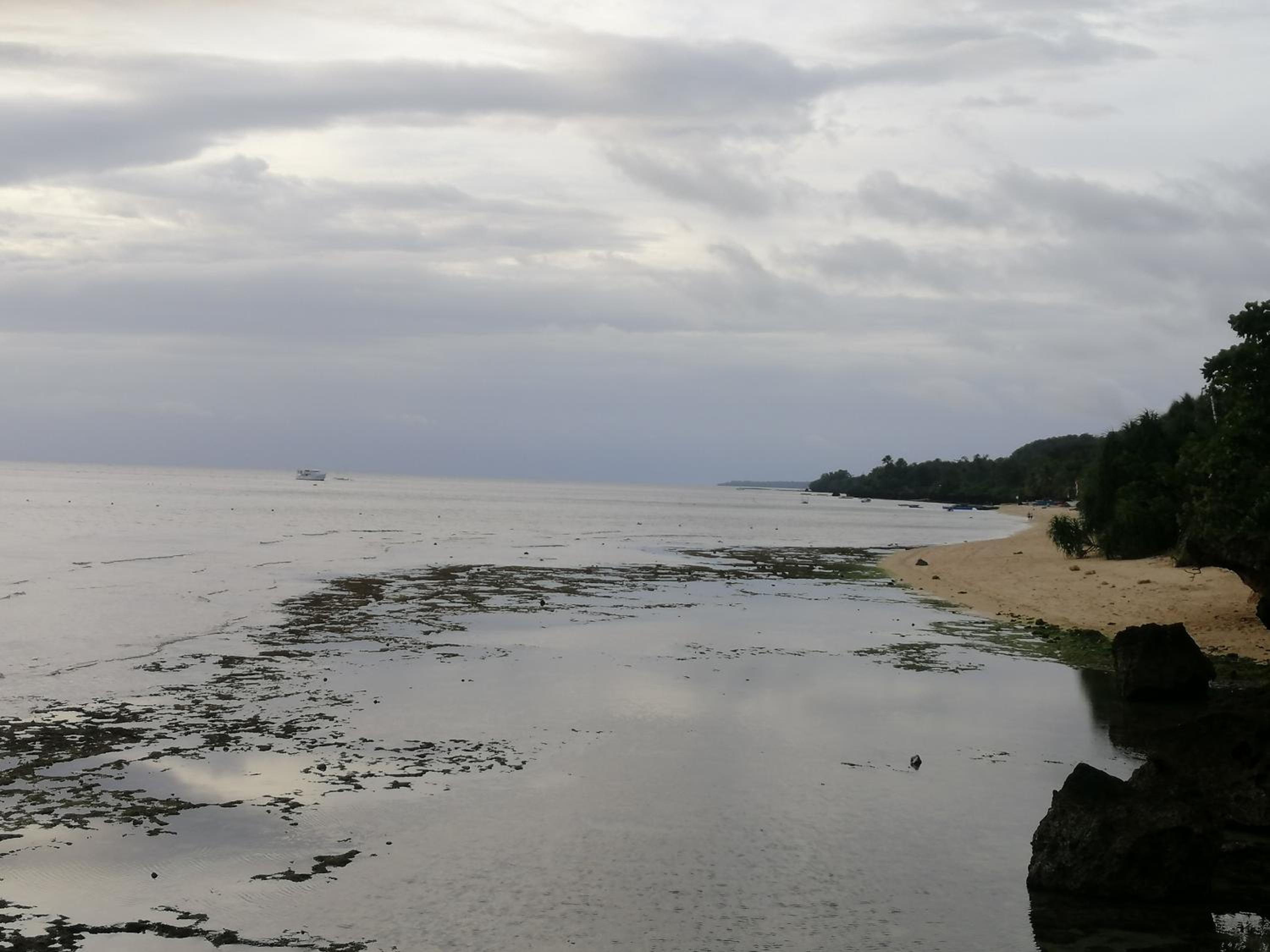 Photo 43