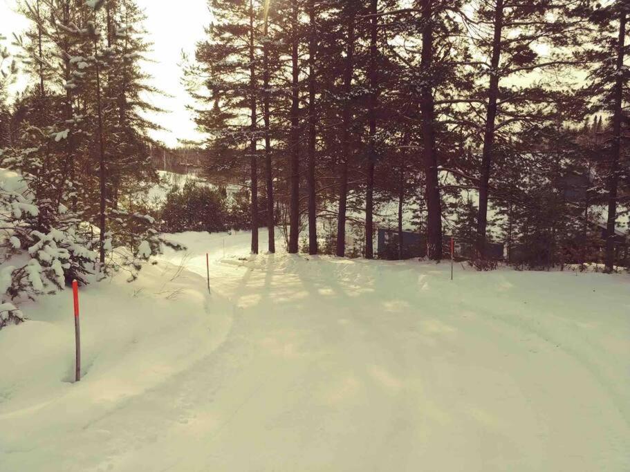 Le Chalet Bleu, aux pieds des Monts-Valin