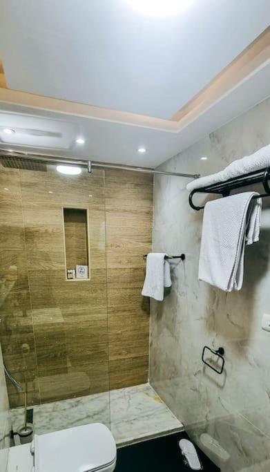 Luxury VIP apartment
