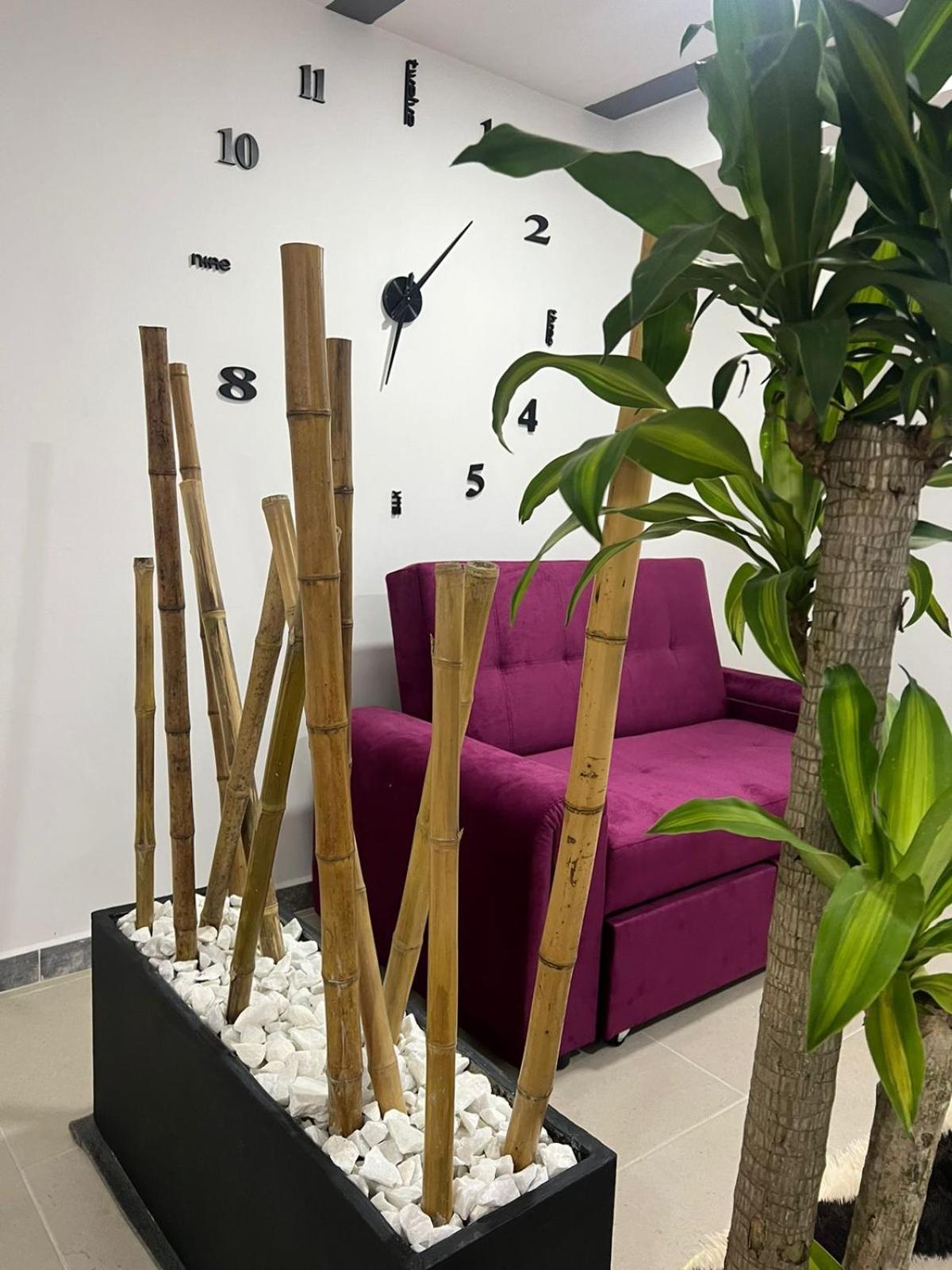 apartaestudios las astromelias Armenia