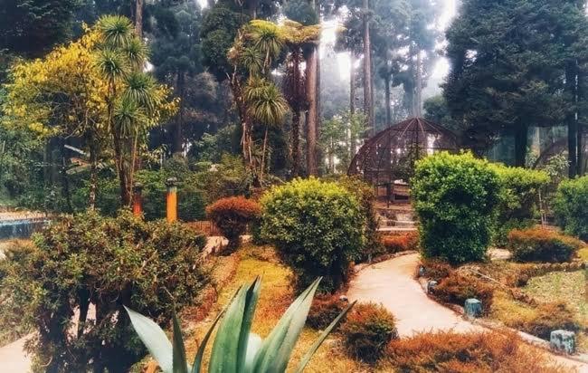 Damfu Basera Homestay