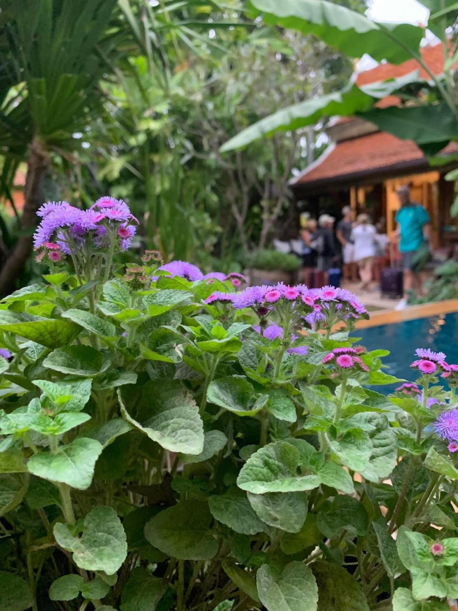 Hongkhao Village