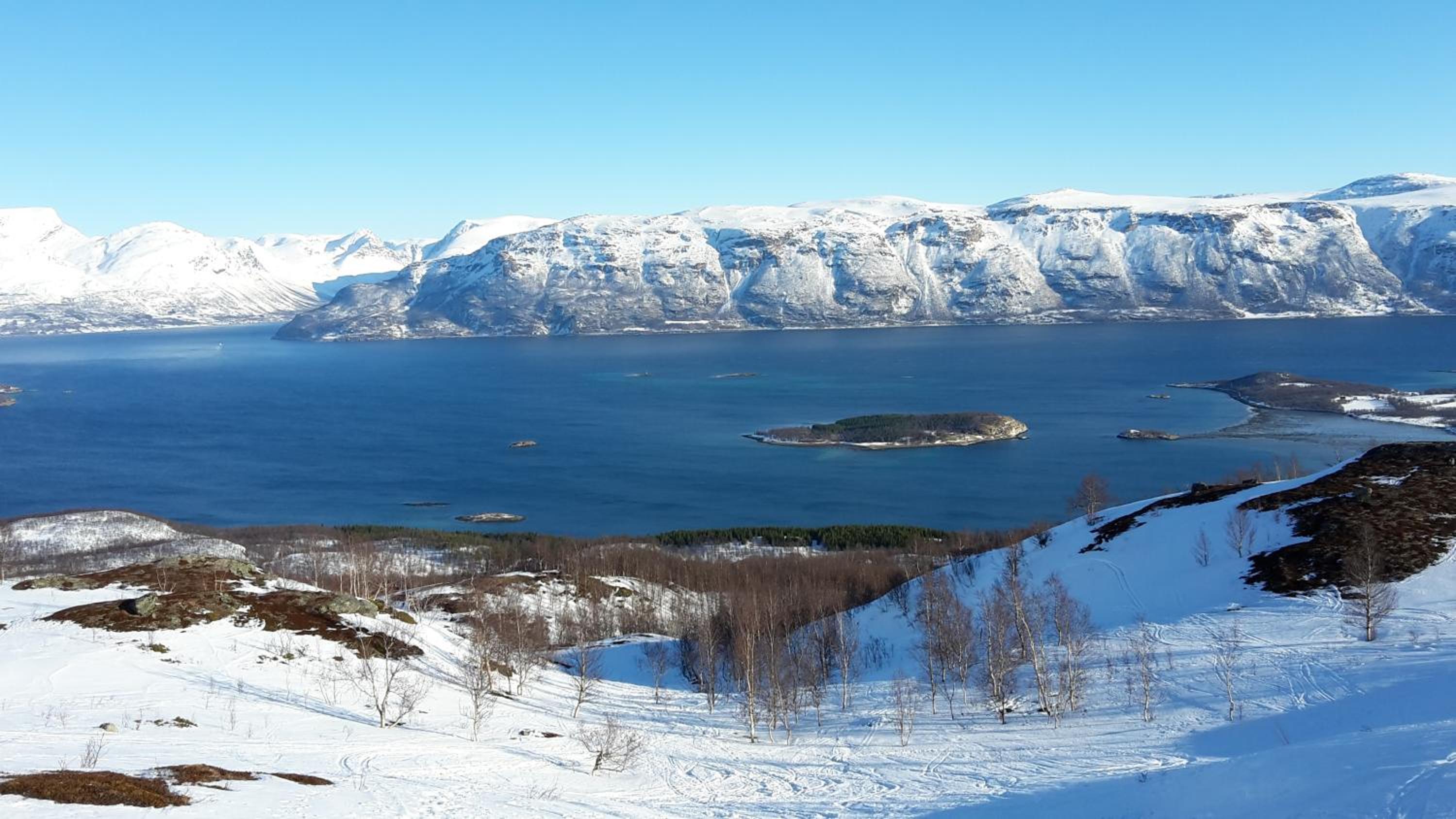 Lyngen Apartments