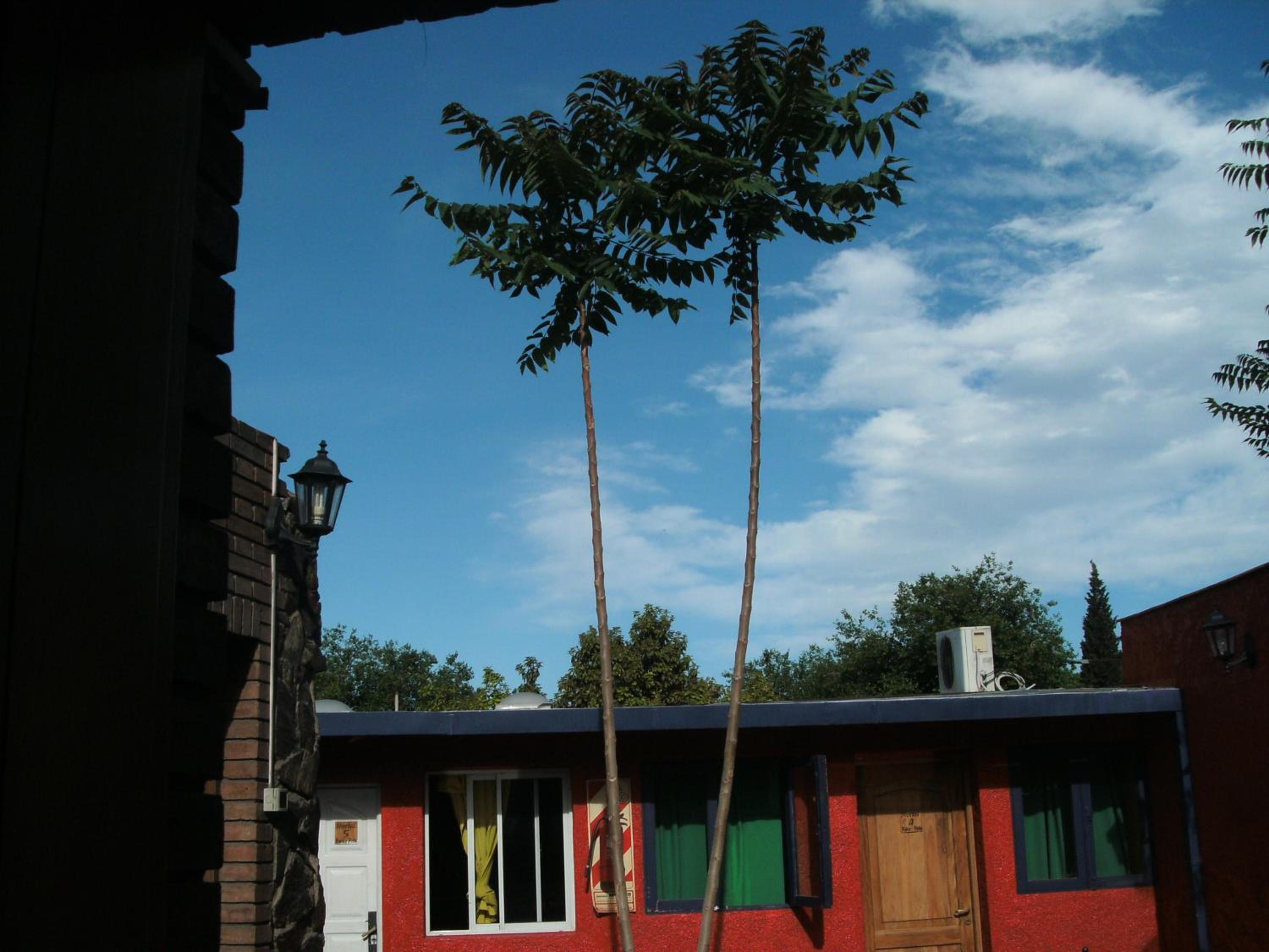 Hostel Ruca Potu