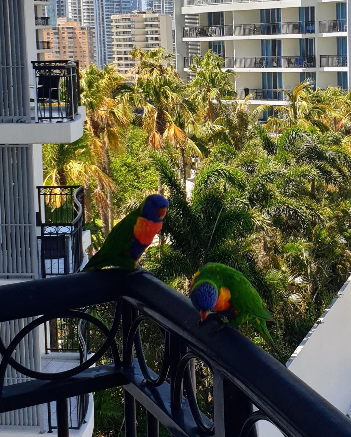 Bellagio@Chevron, Luxe, 2 Bedroom Apartment in the Heart of Surfers Paradise!