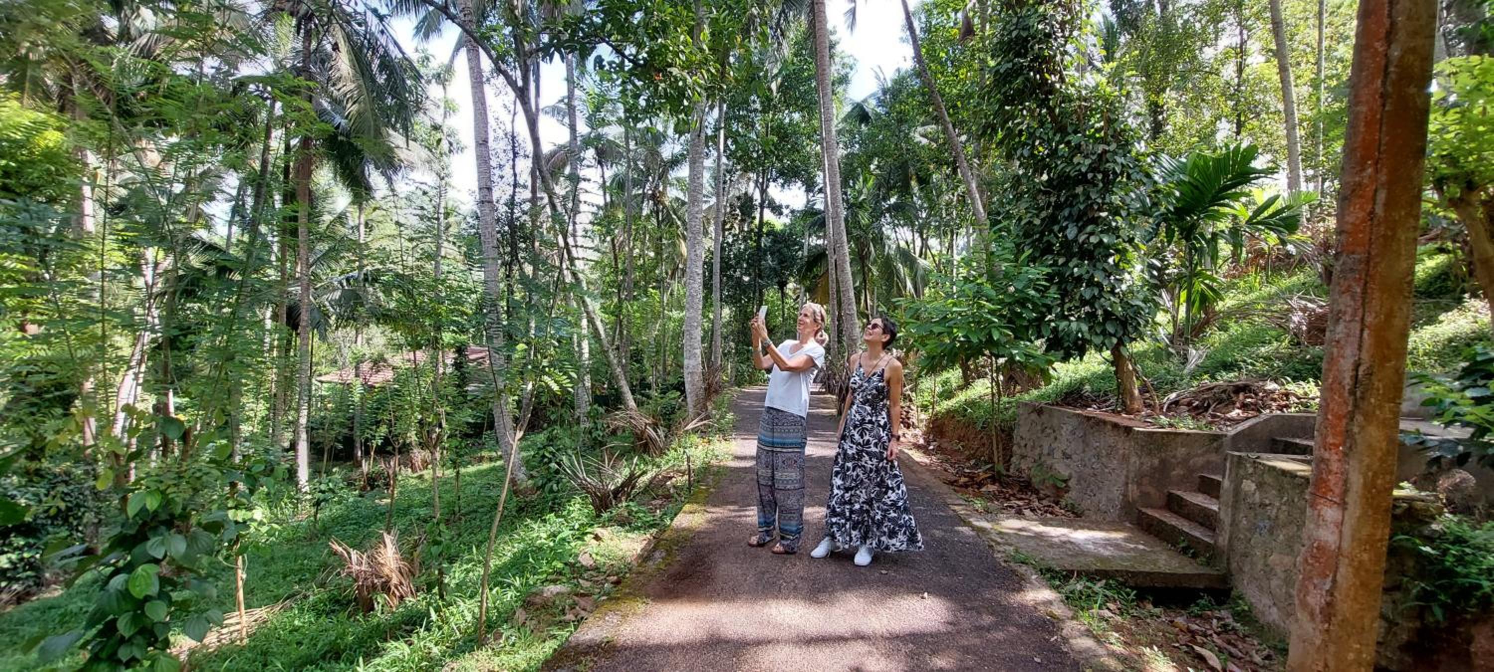 Windy Ridge Kandy view 5
