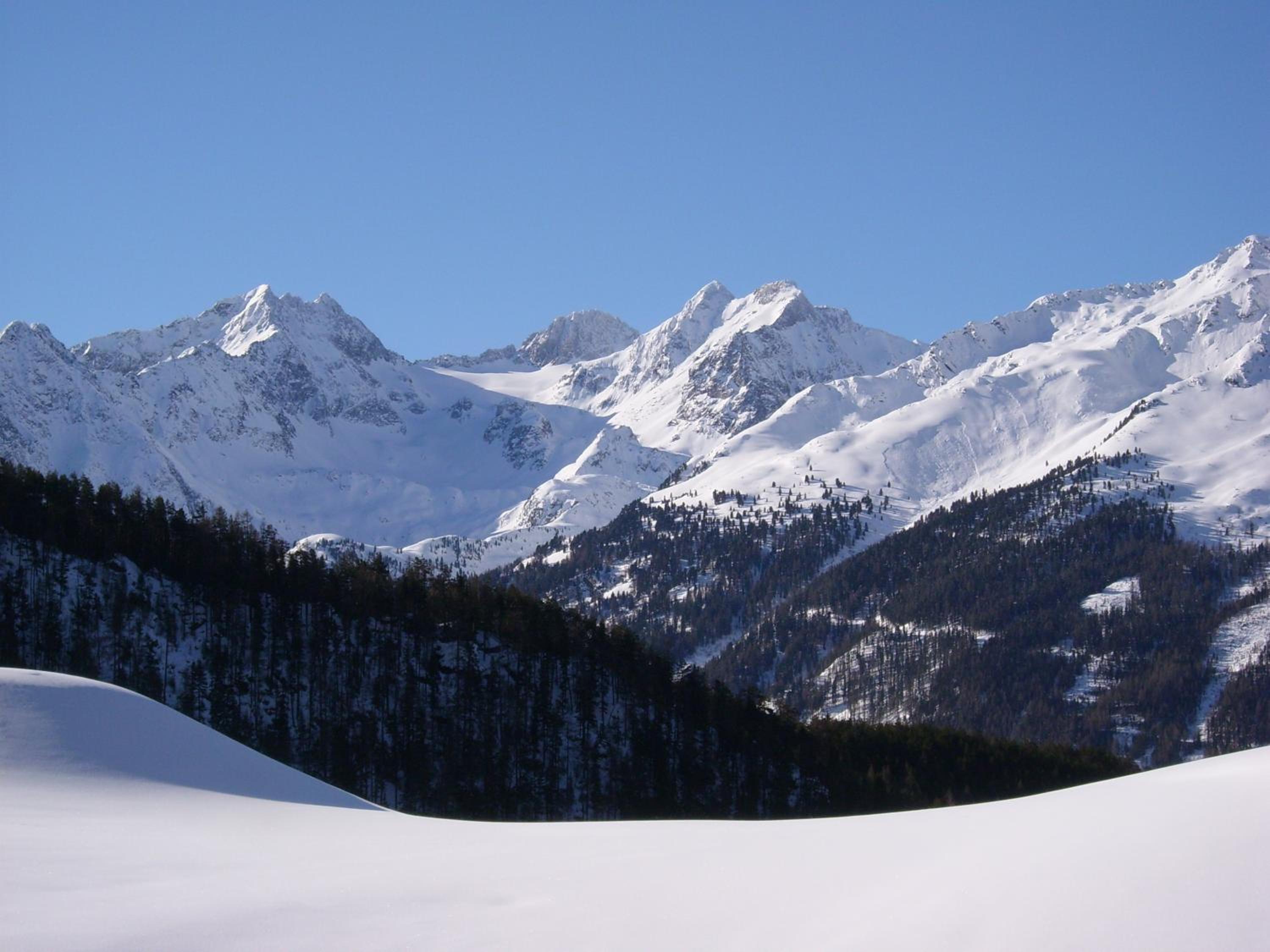 Photo 14
