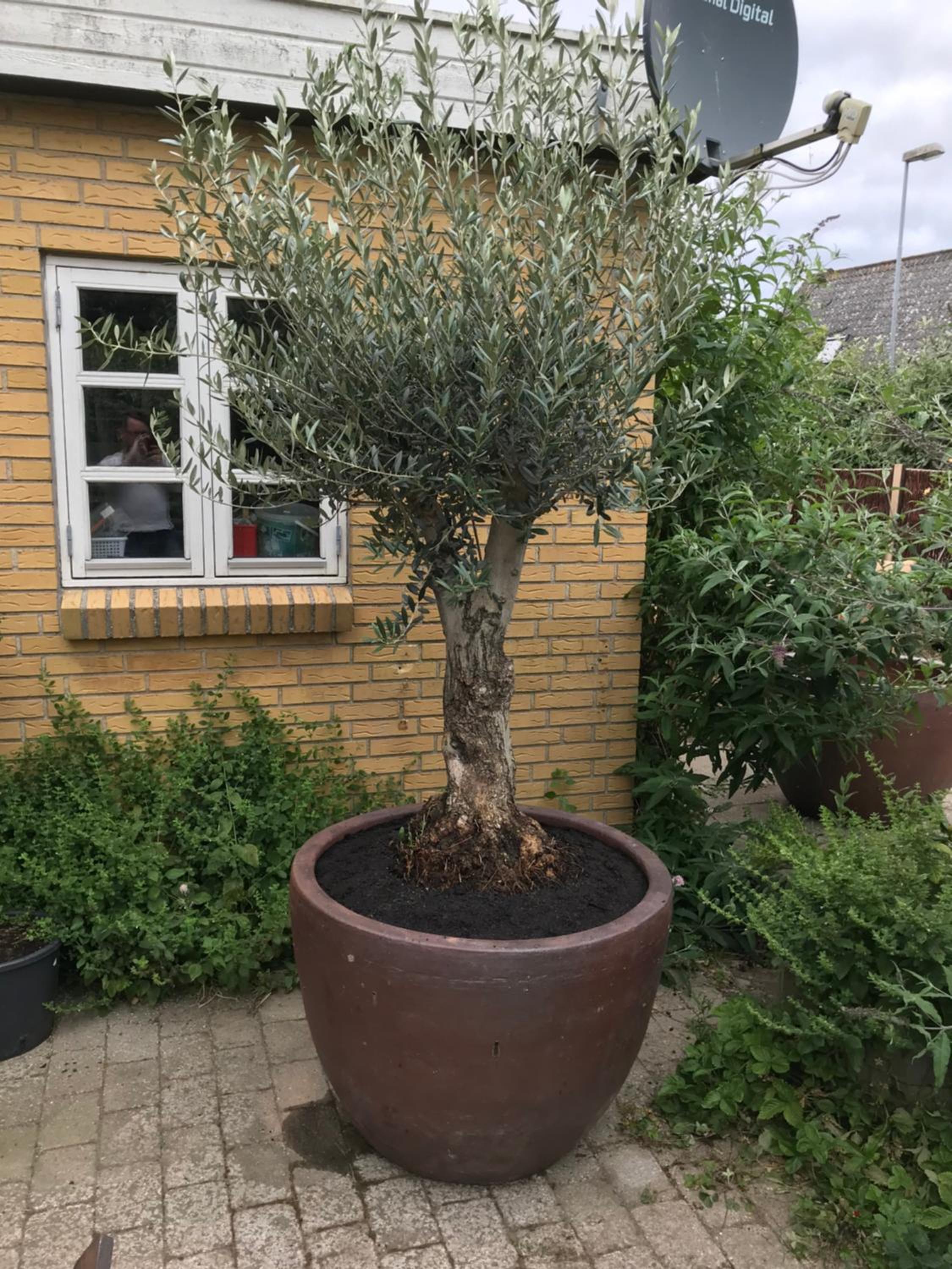 feriehus med havudsigt
