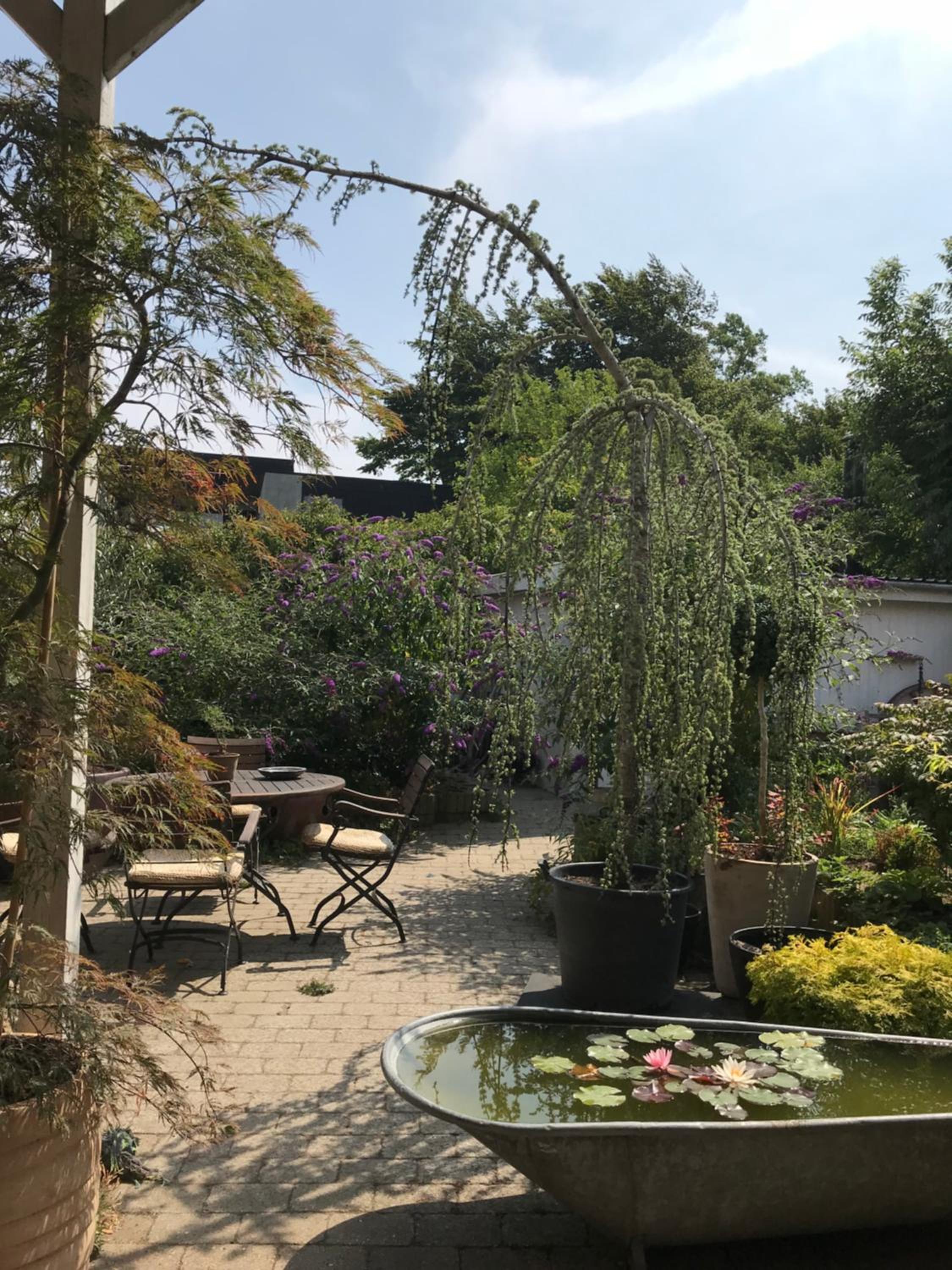 feriehus med havudsigt