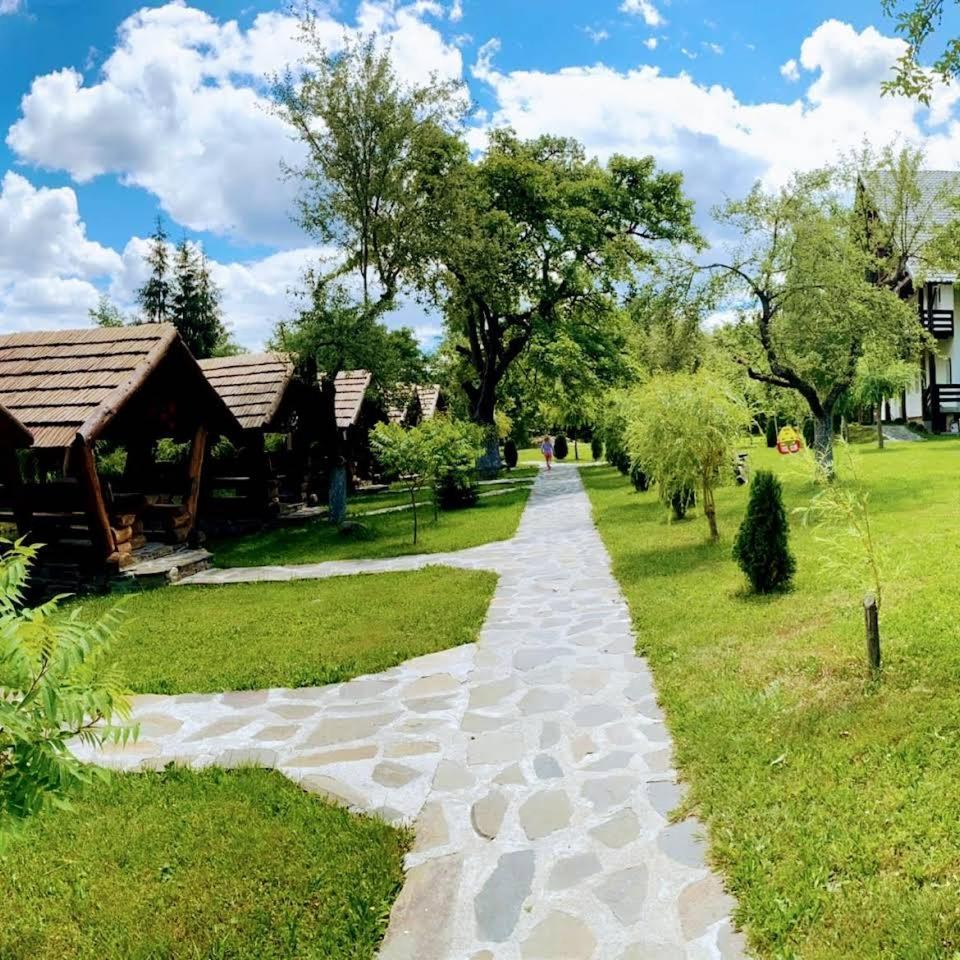 PASTRAVARIA ALINA
