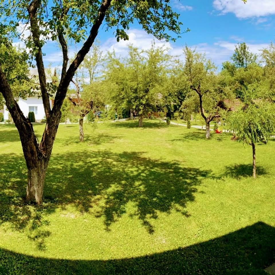 PASTRAVARIA ALINA