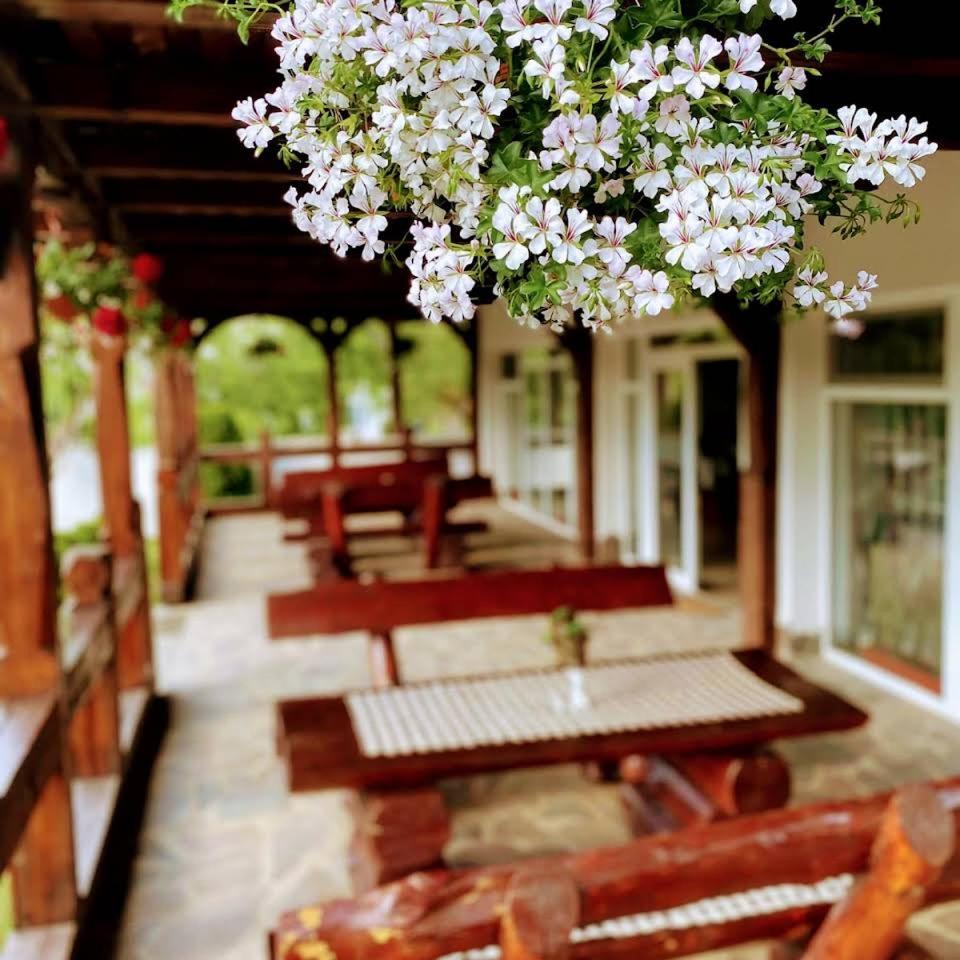 PASTRAVARIA ALINA