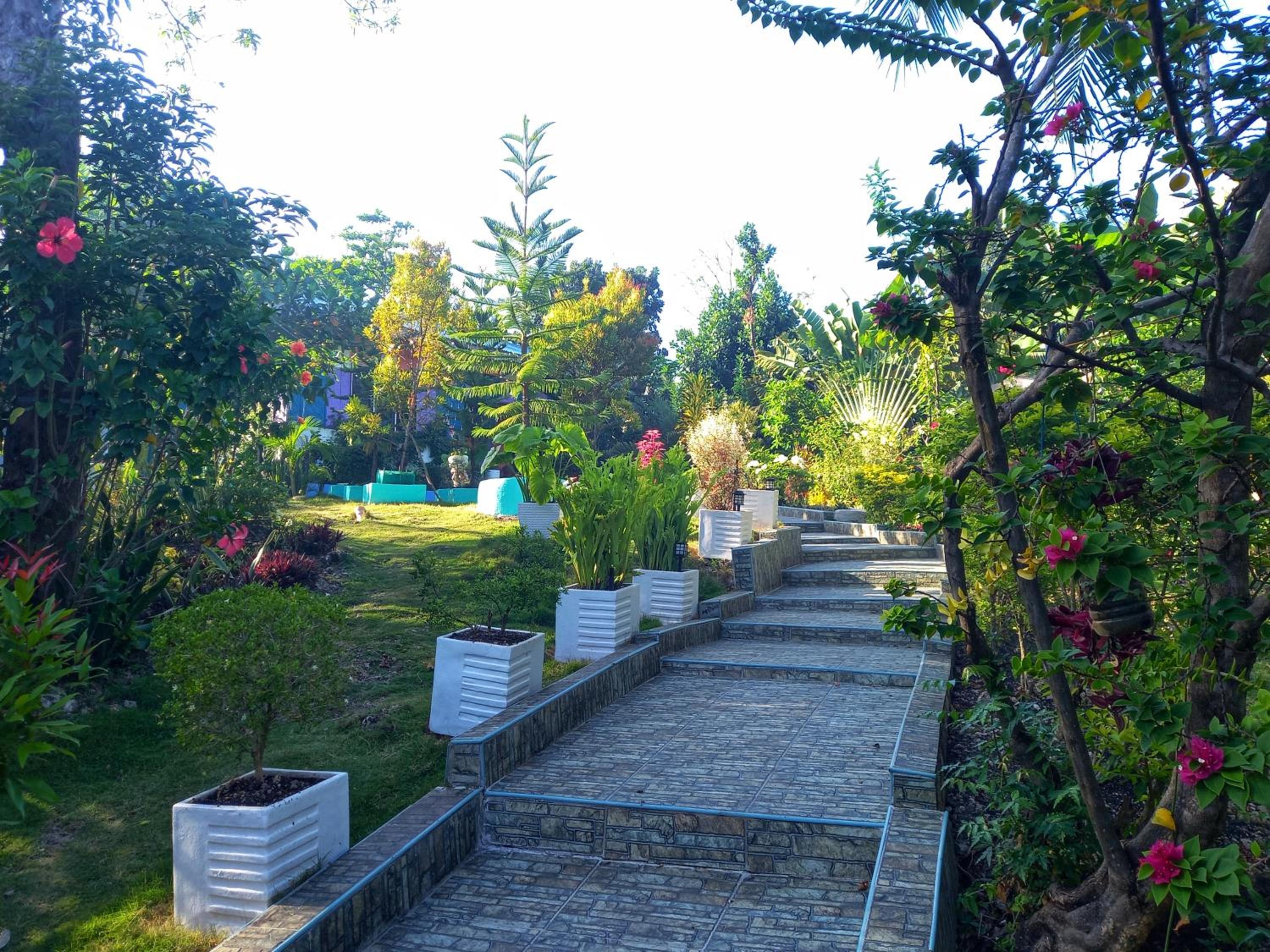 Photo 6