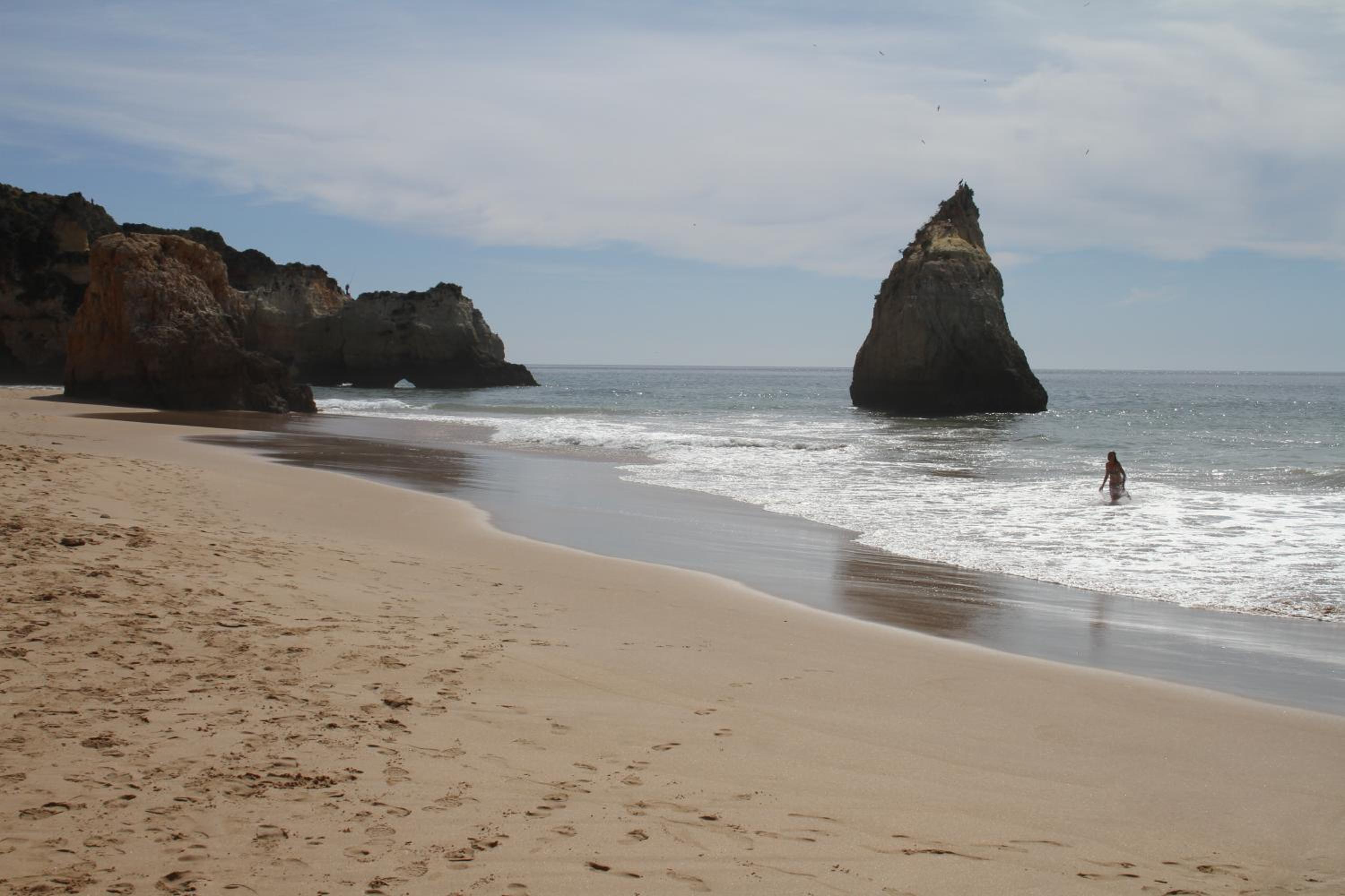 Photo 45