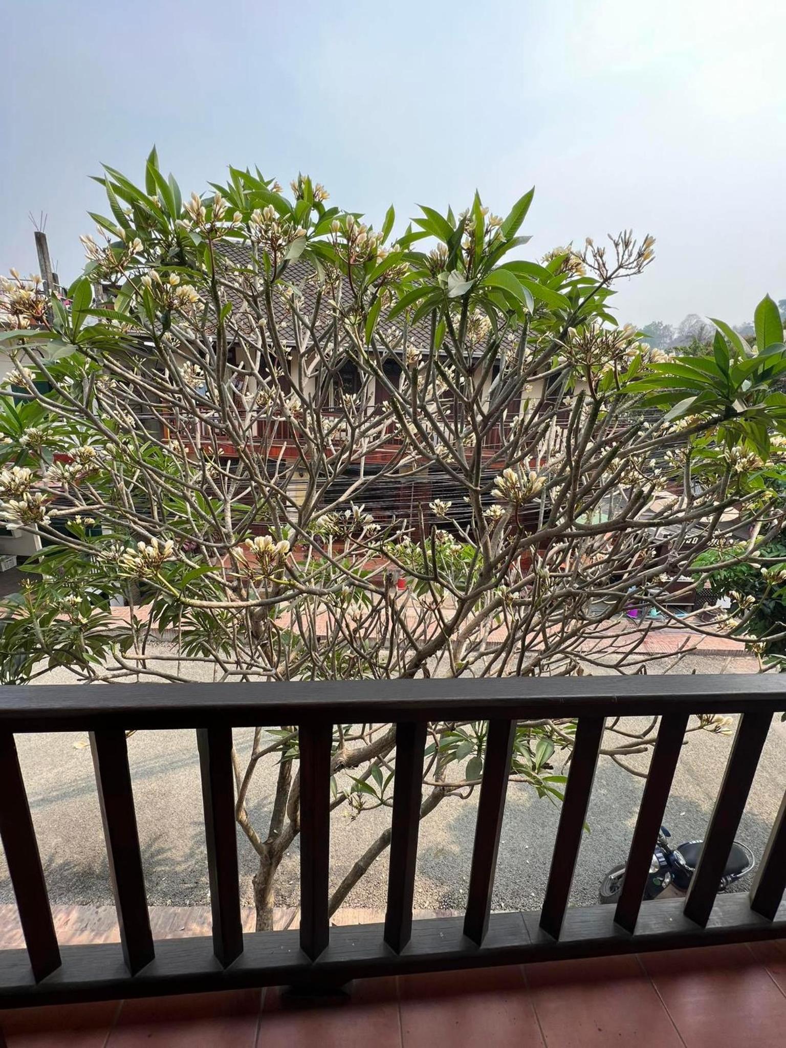 Luang Prabang Champa Villa Hotel