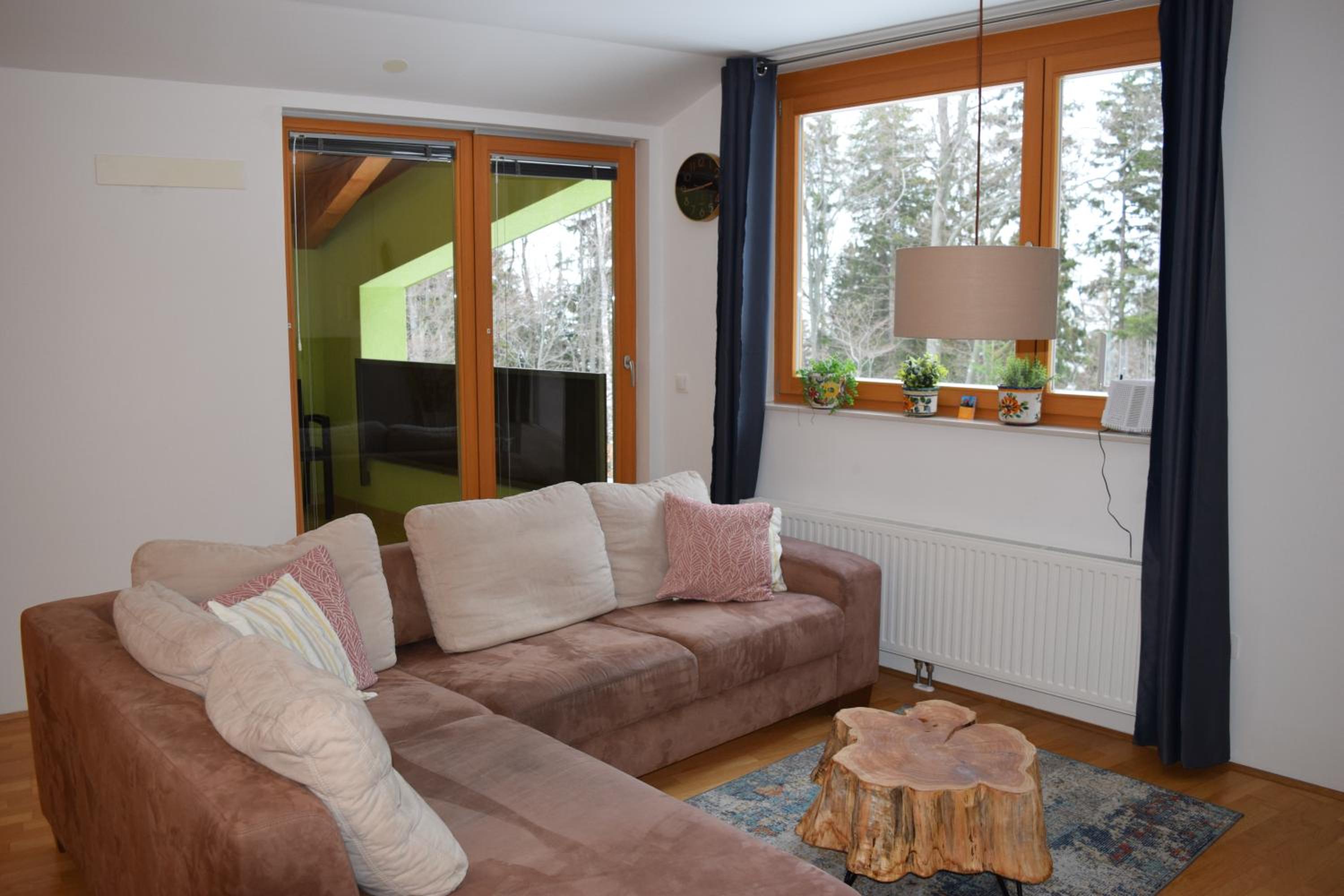 Apartment Alpina