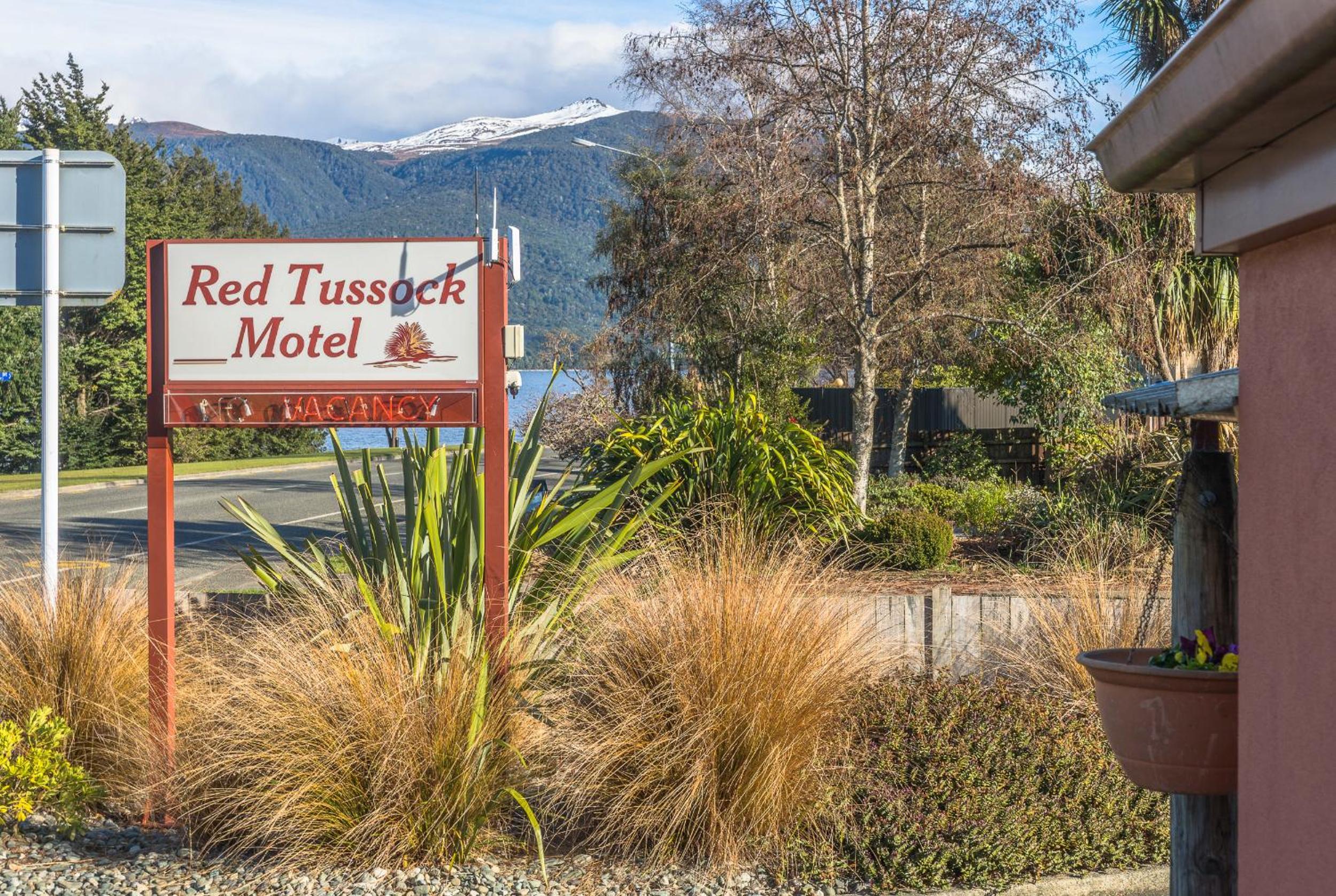 Red Tussock Motel - Image 2