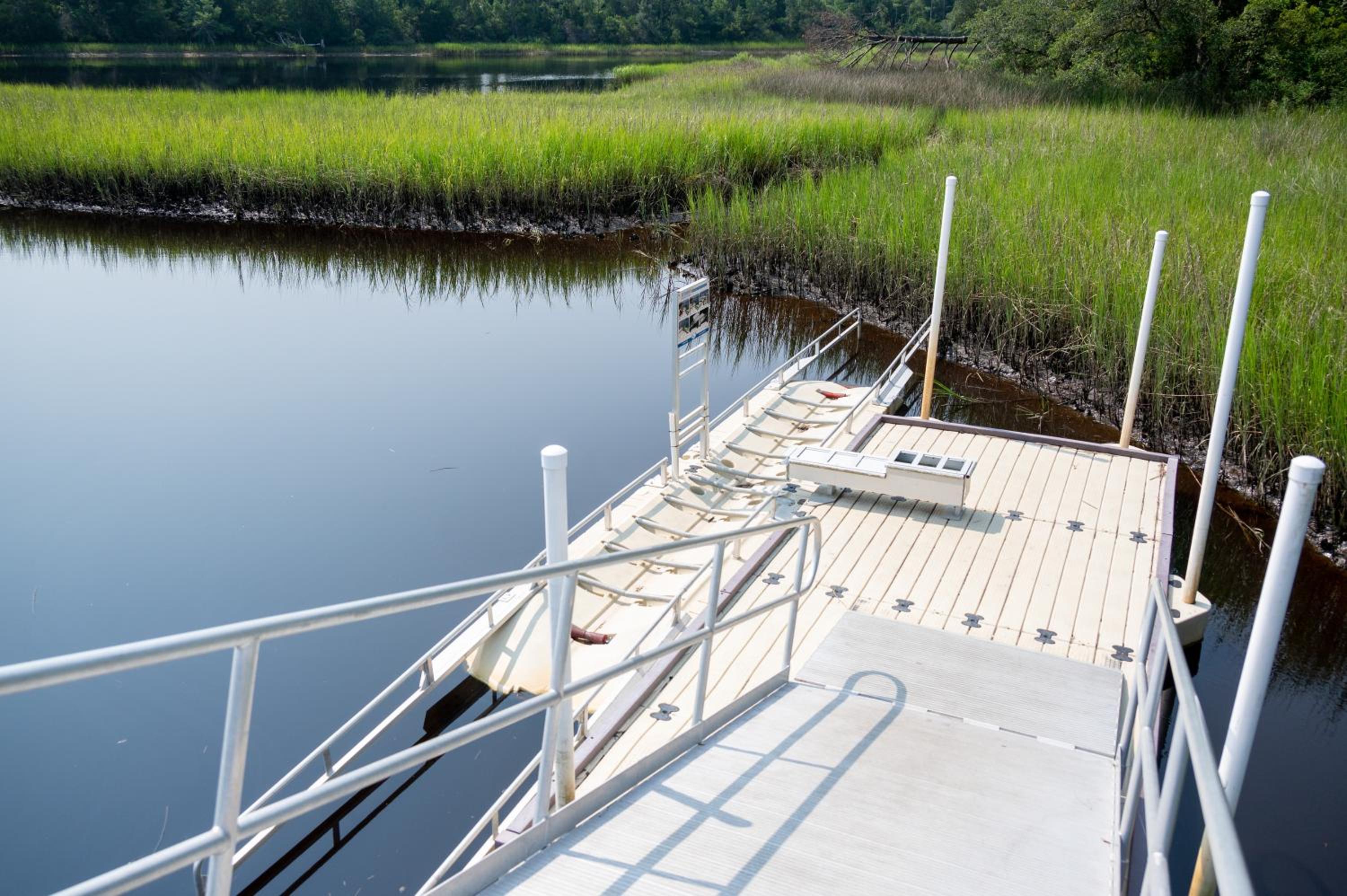 Photo 56