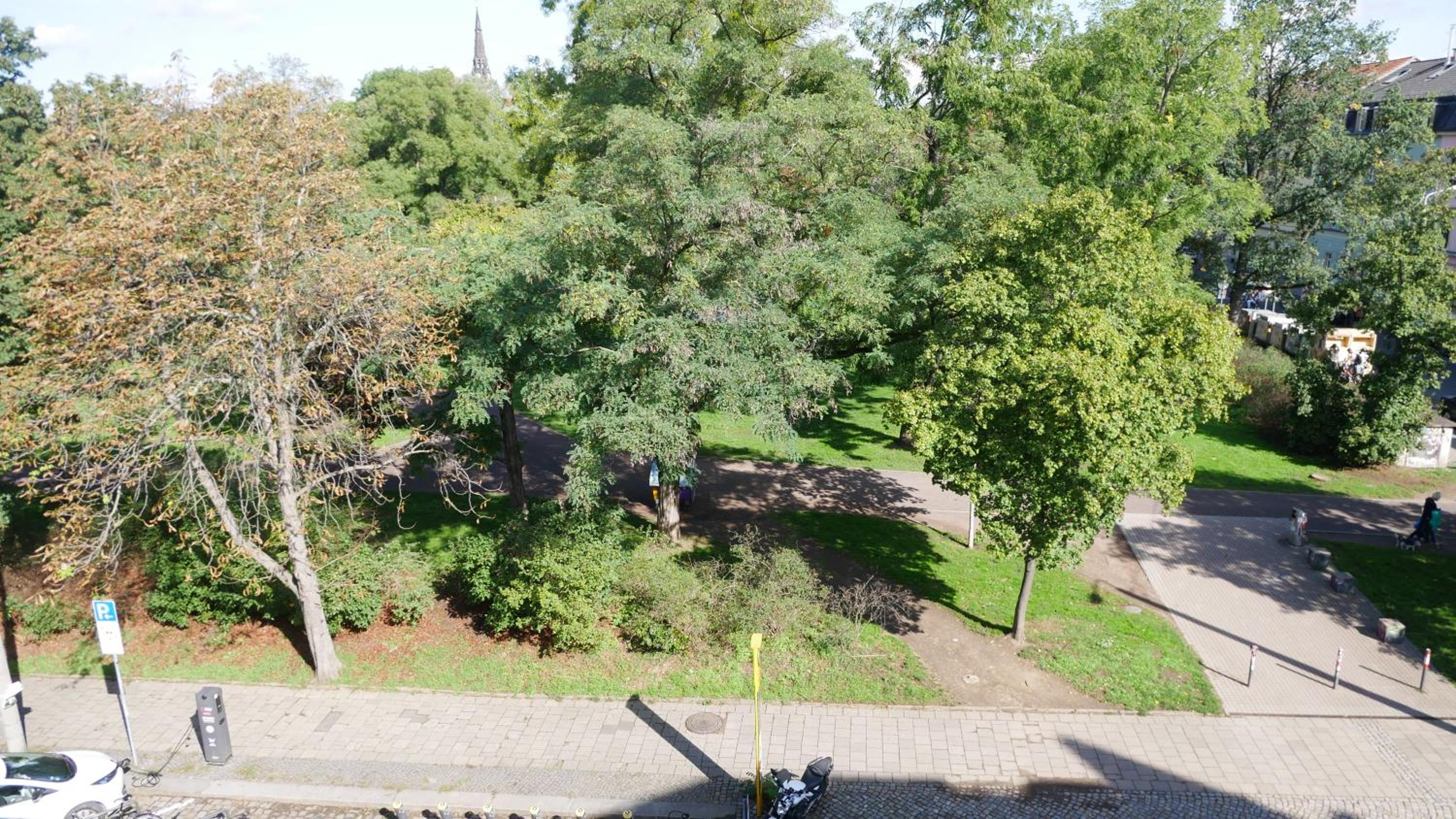 Dresden Vacations - CasaColombia traumhafte Neustadt-Wohnung am Park - Property Image 8