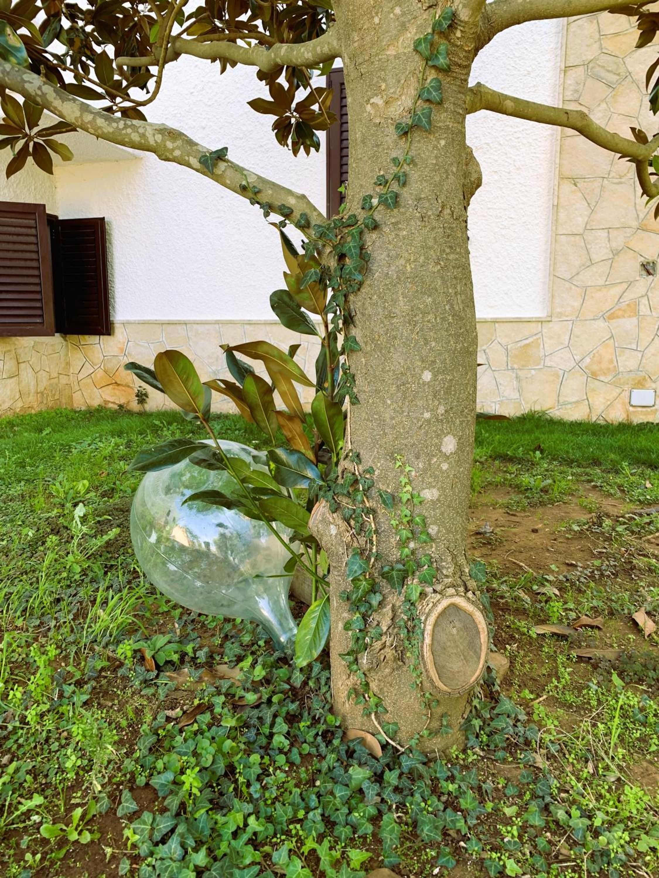 Photo 29