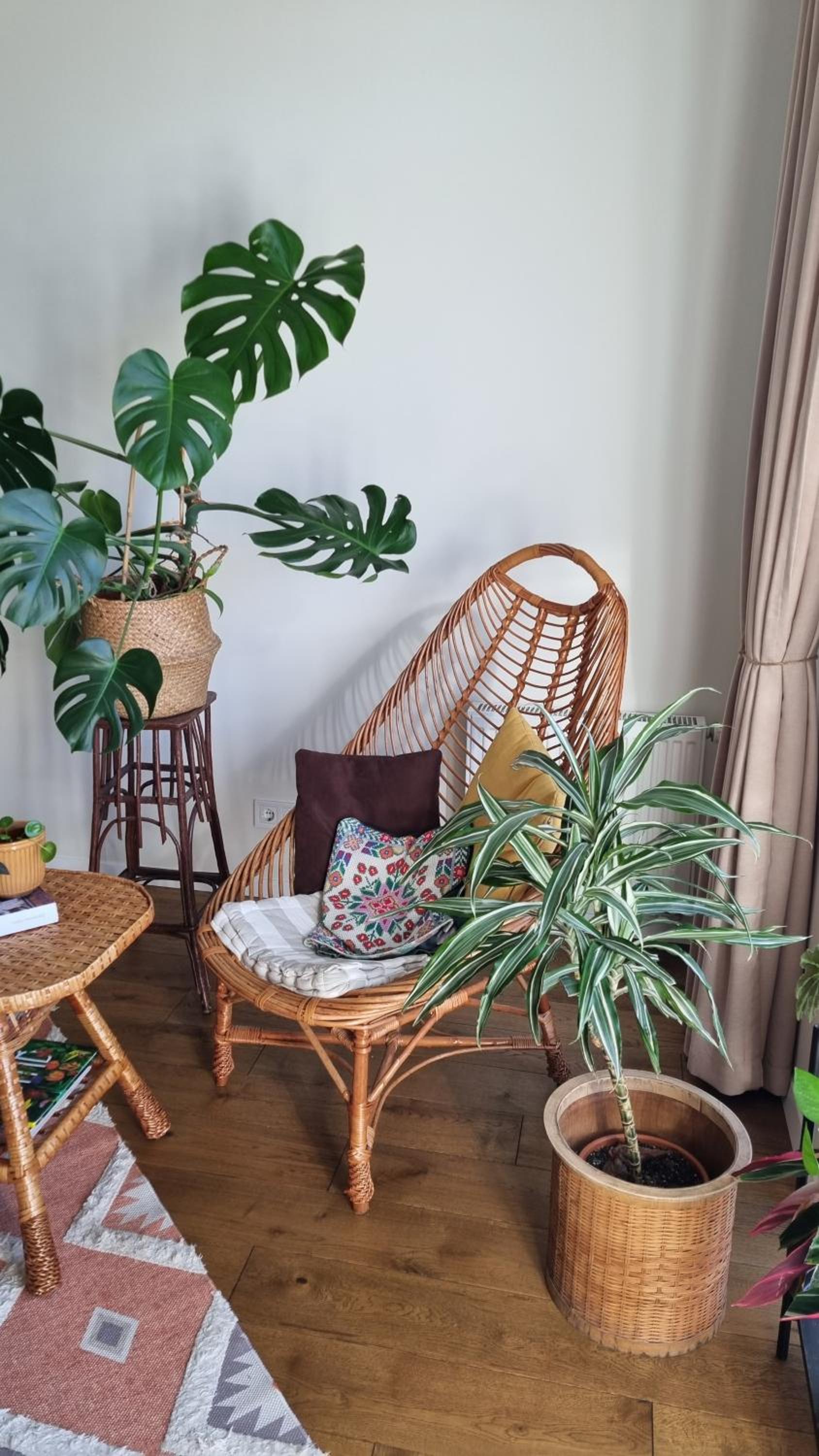 Kyiv Jungle apartment view 5