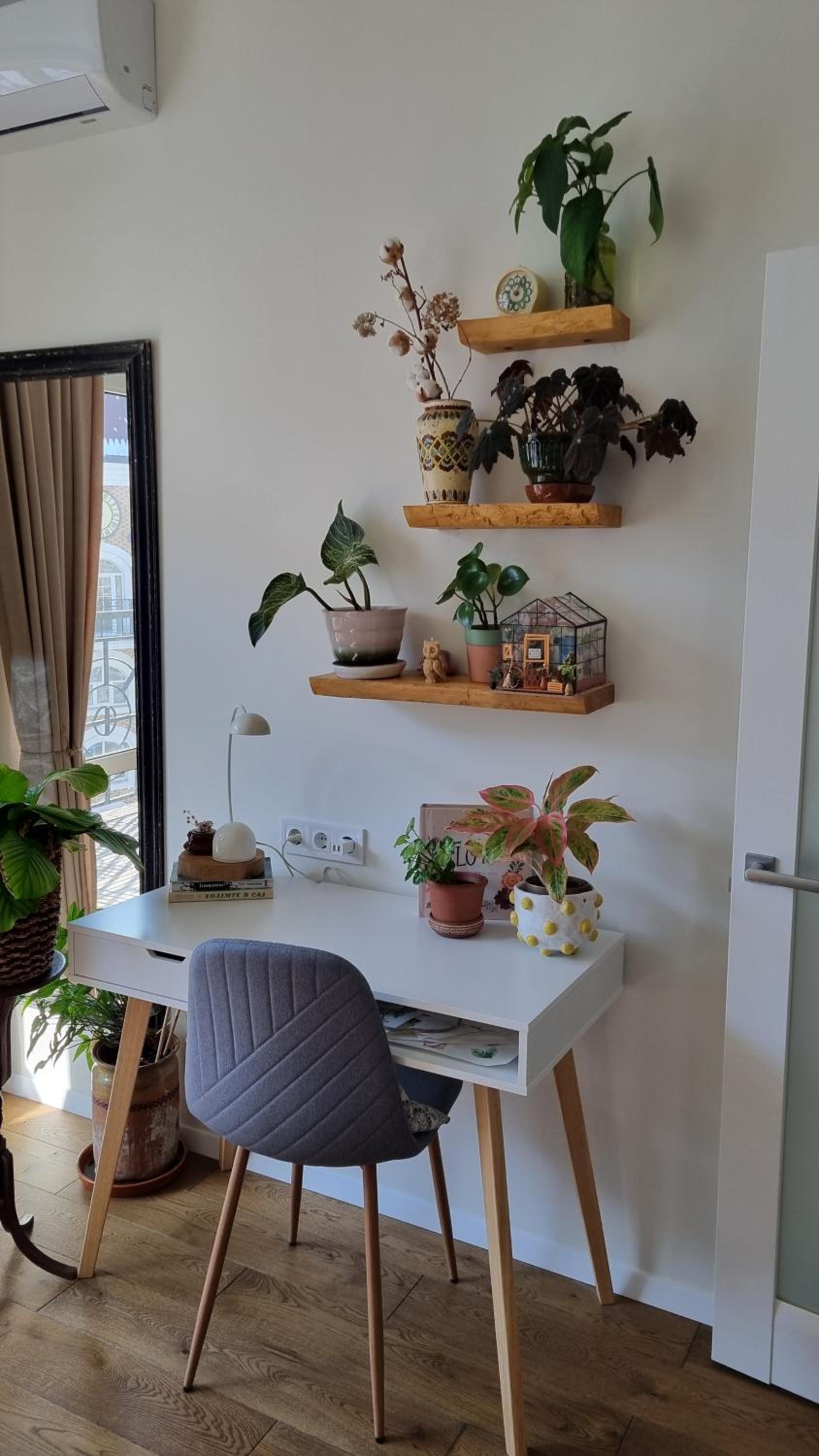 Kyiv Jungle apartment view 3