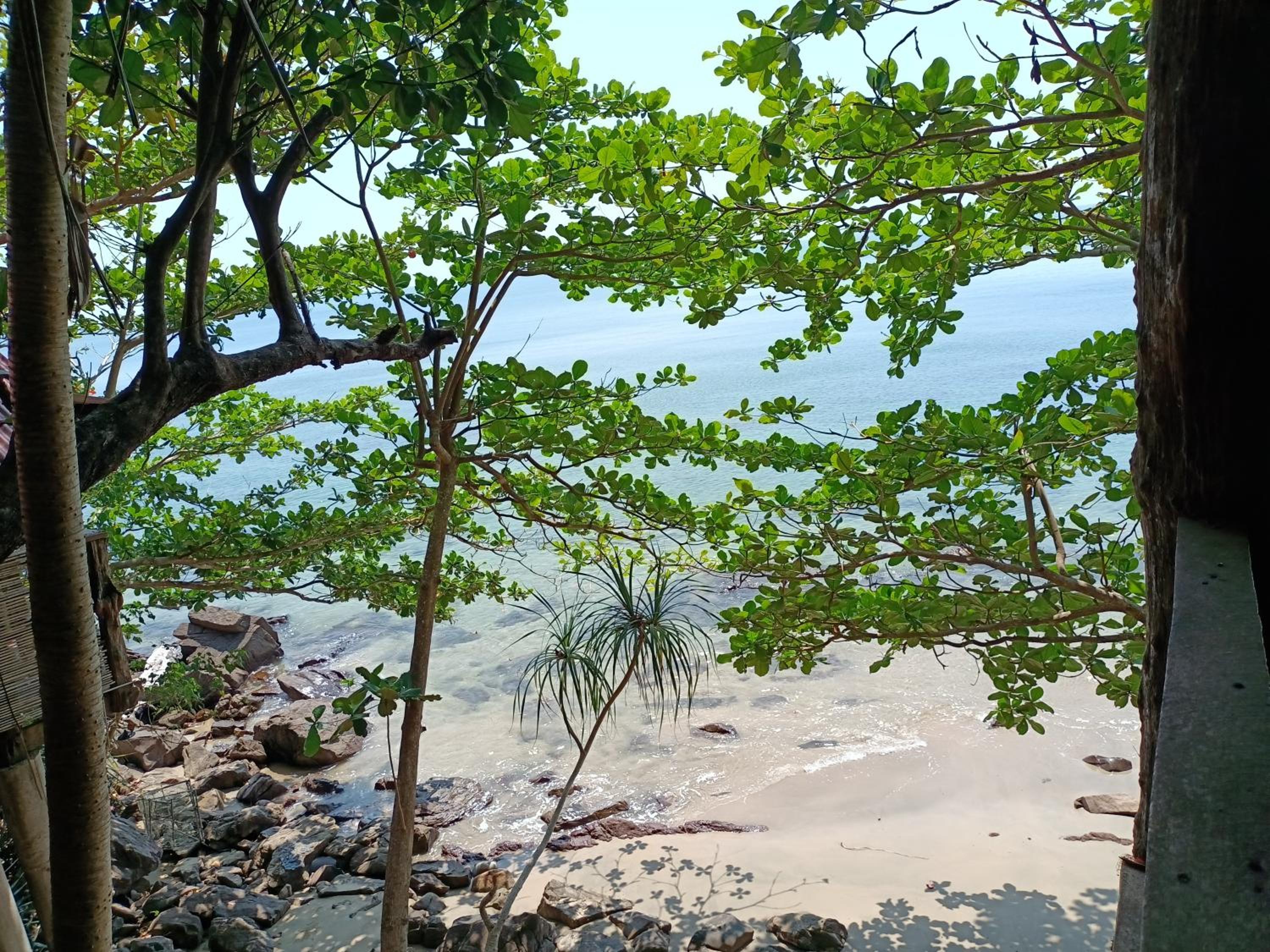 Jungle Hill Beach Bungalow