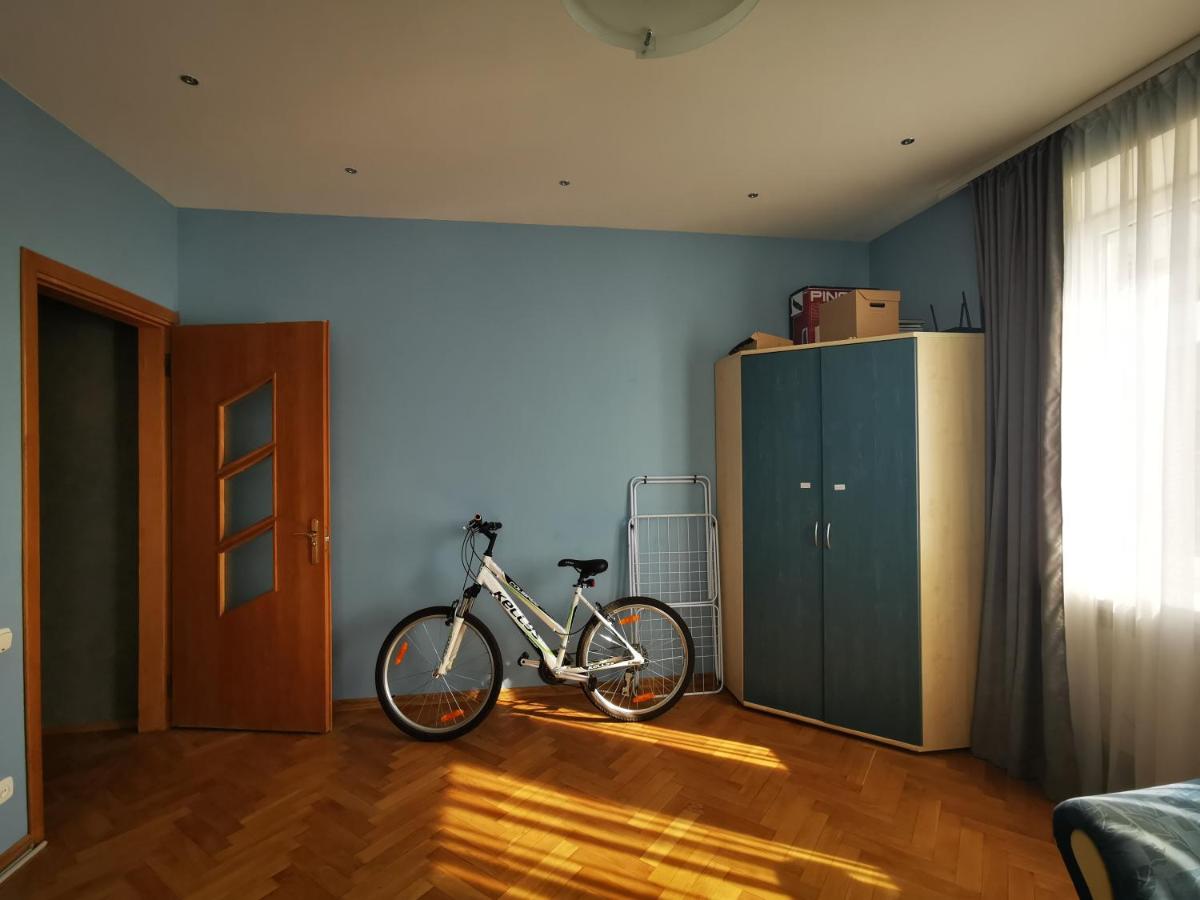 Super Spacious Apartment in Kaunas view 2