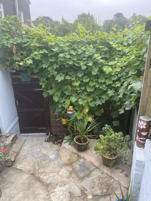 Photo 42