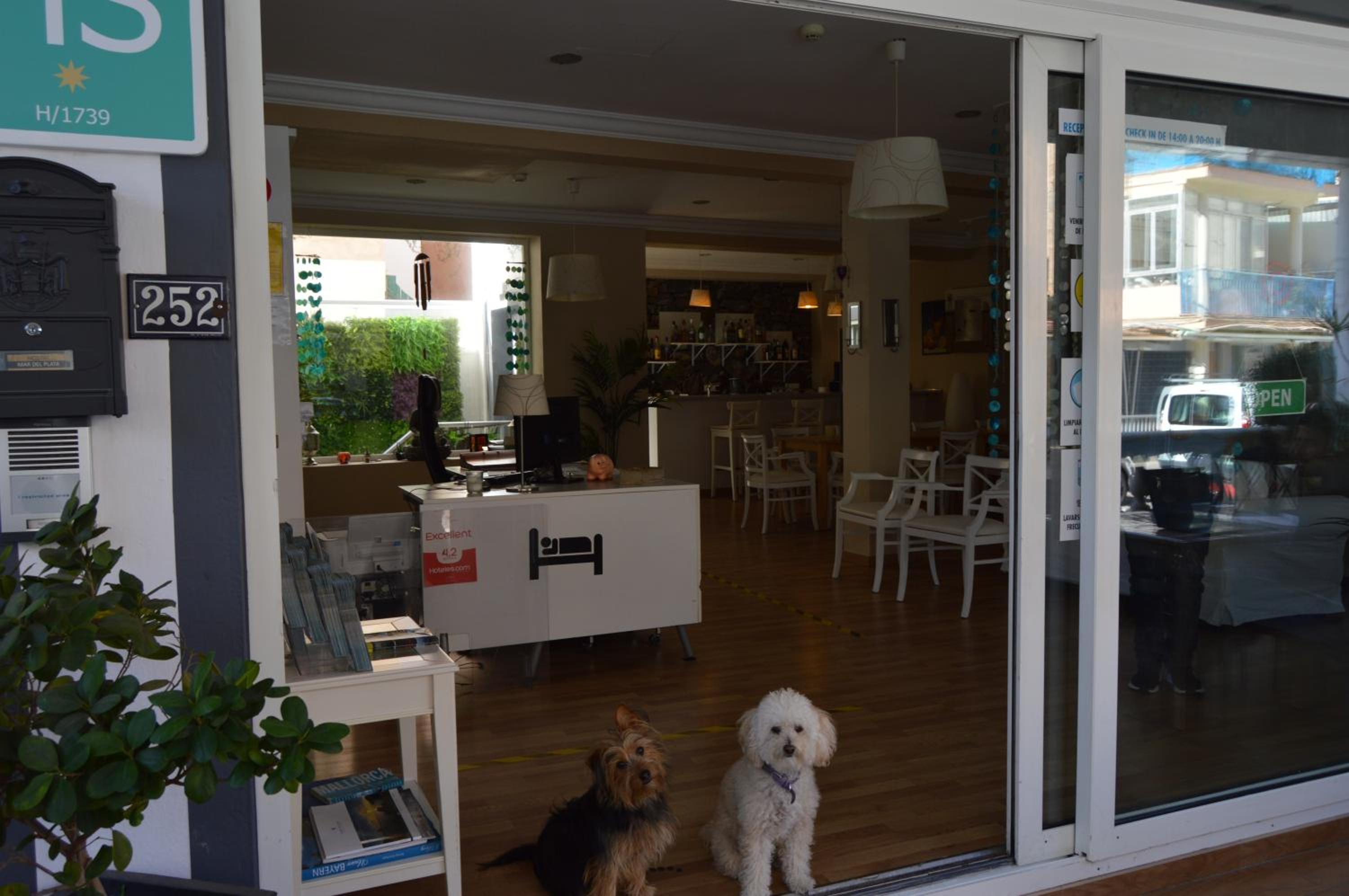 Hostal Mar del Plata view 2