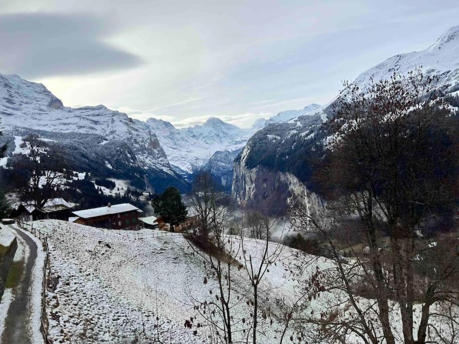 Apartment in Wengen - Amazing views, centrally located by train station