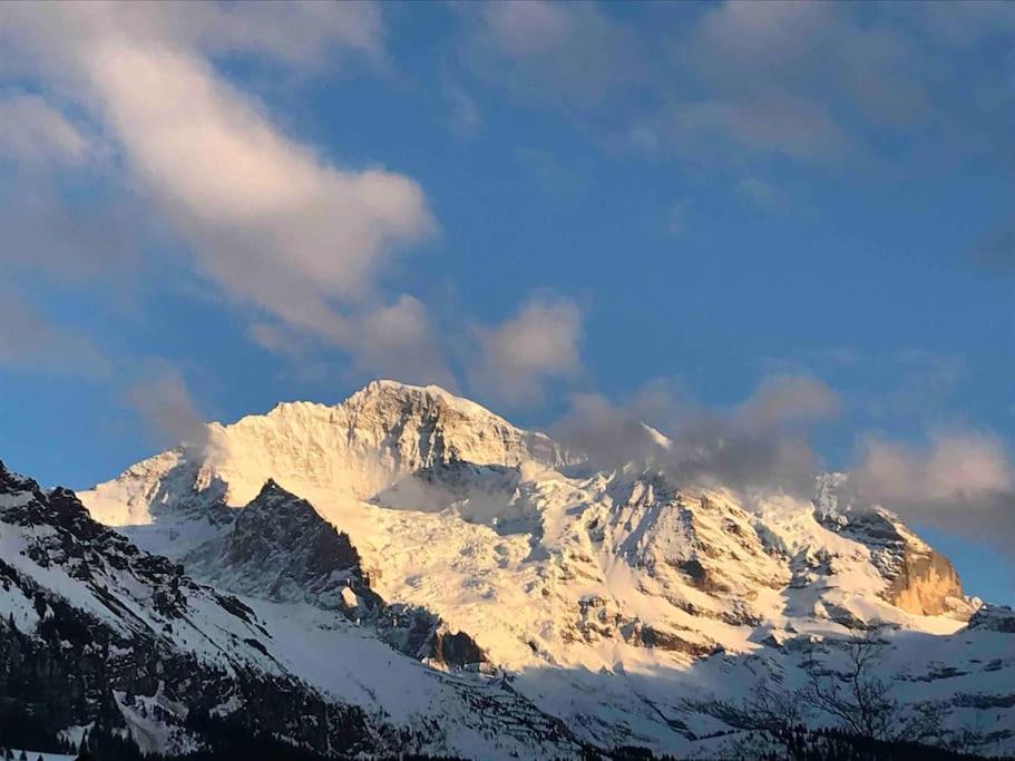 Apartment in Wengen - Amazing views, centrally located by train station