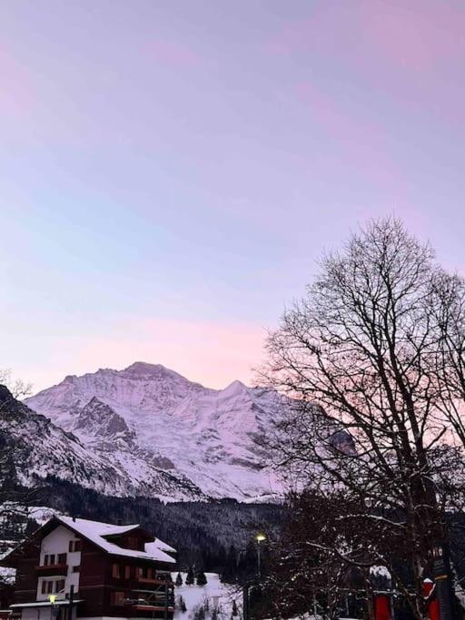 Apartment in Wengen - Amazing views, centrally located by train station