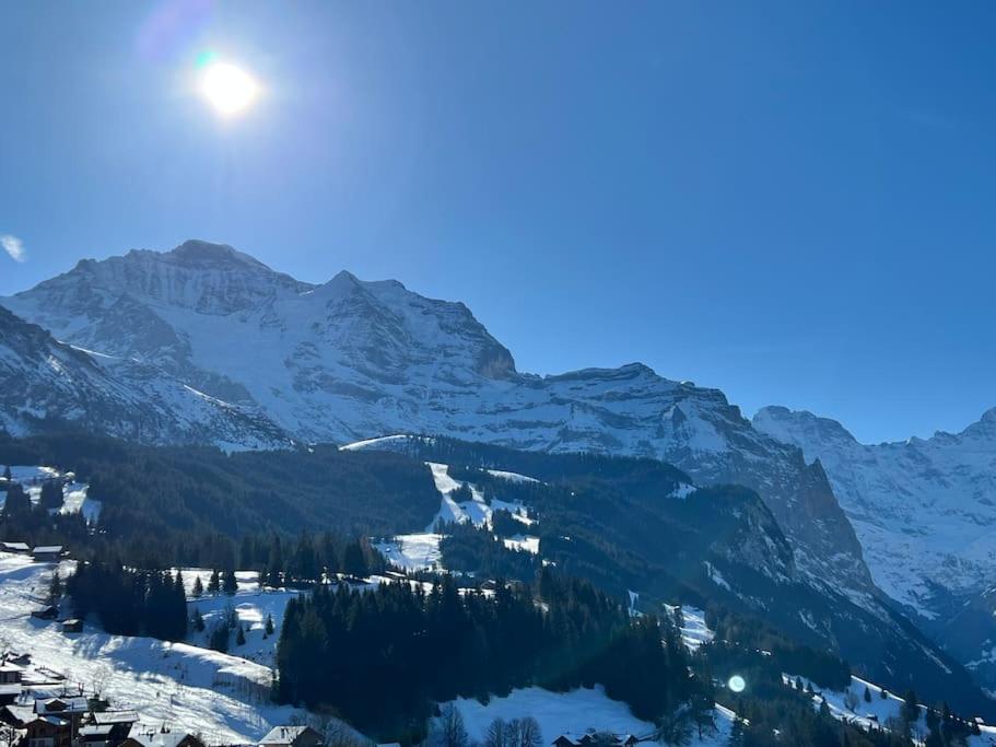 Apartment in Wengen - Amazing views, centrally located by train station