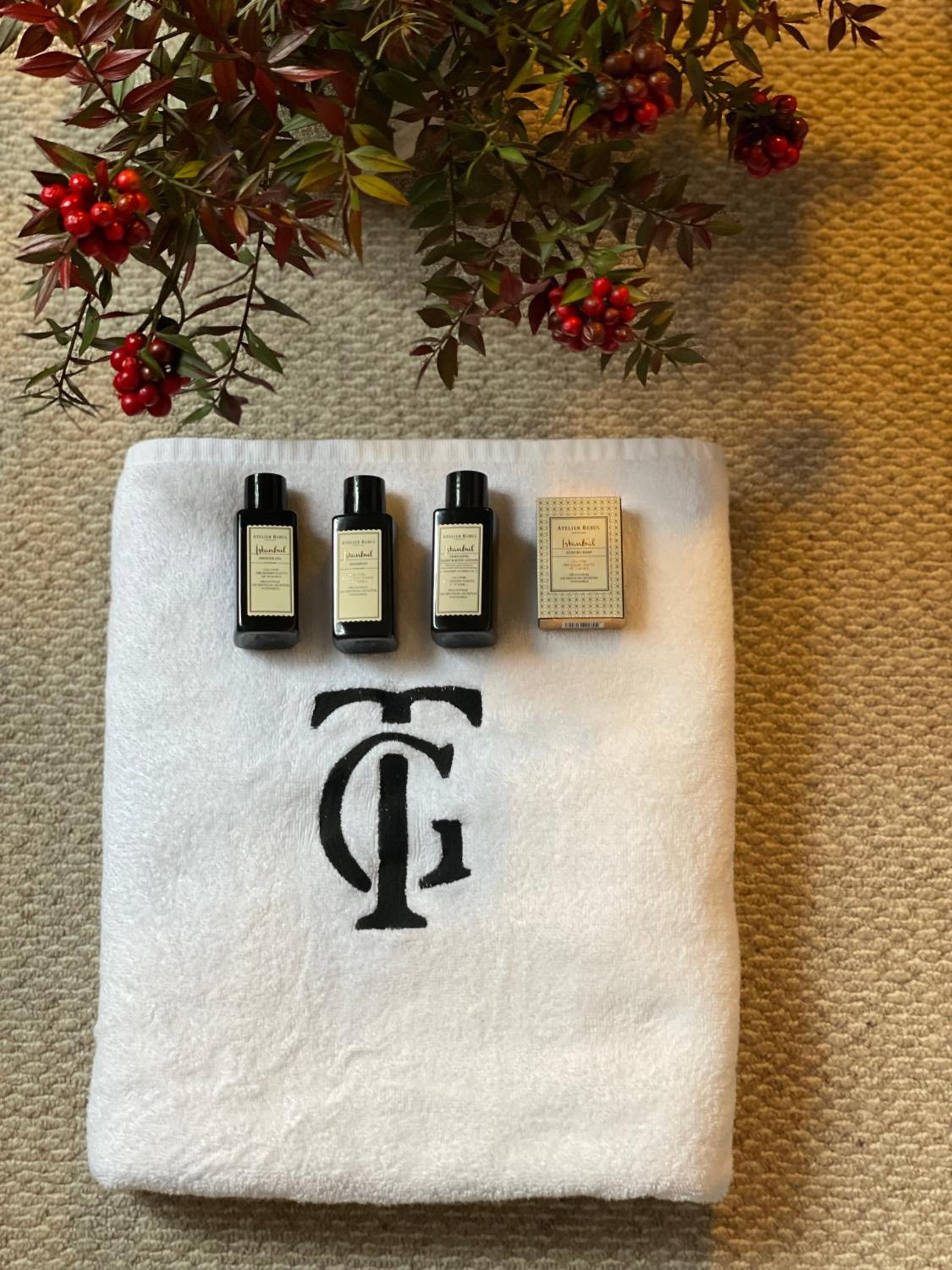 GentleTom - Image 17