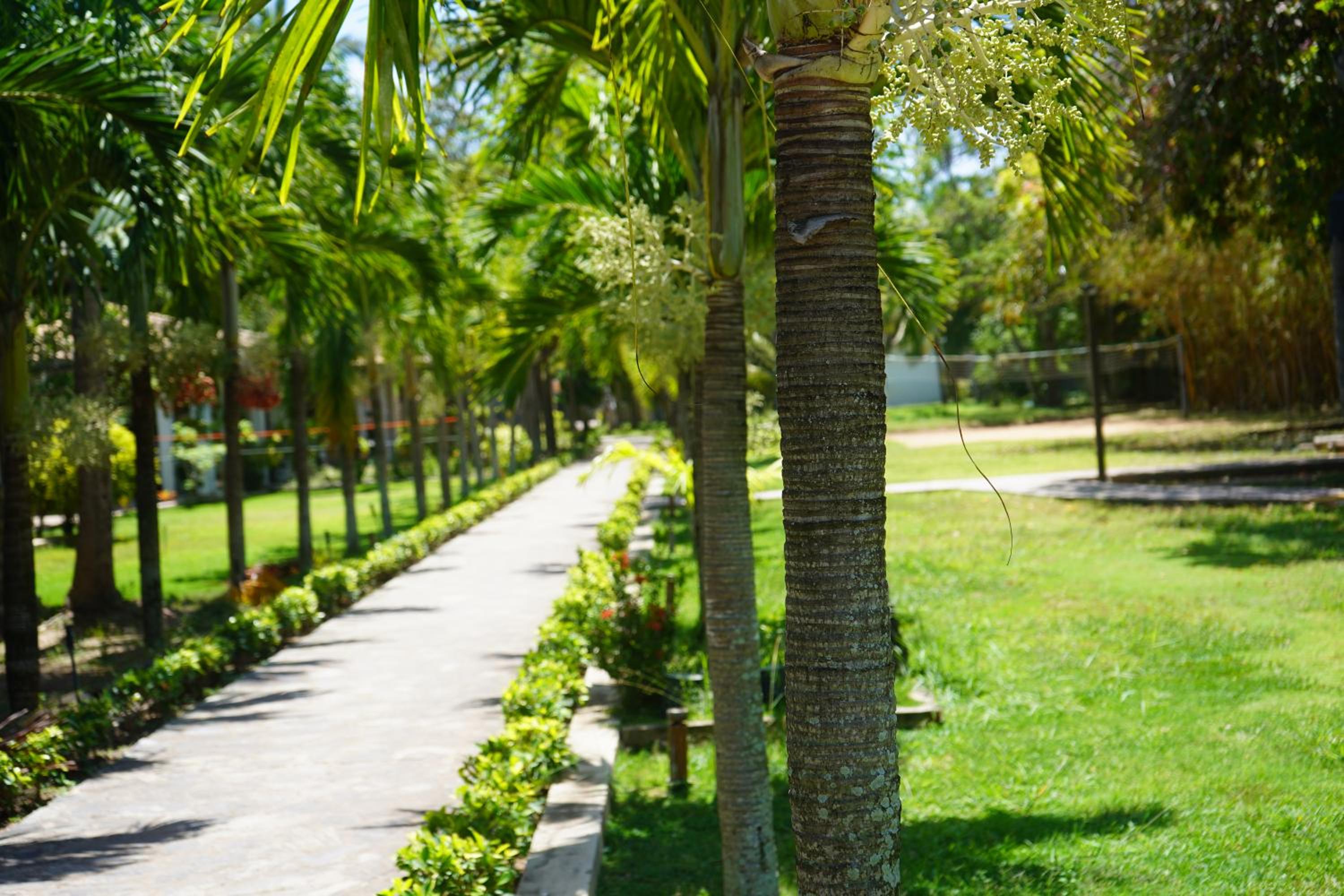 Amaluna Resorts — photo 9