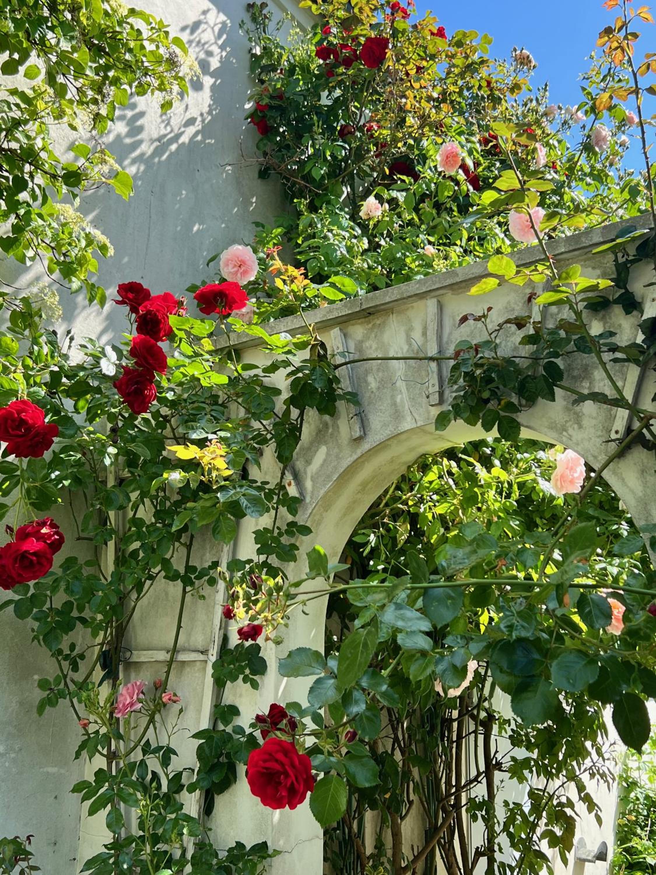 Villa Rosengarten auf der Sonneninsel Fehmarn